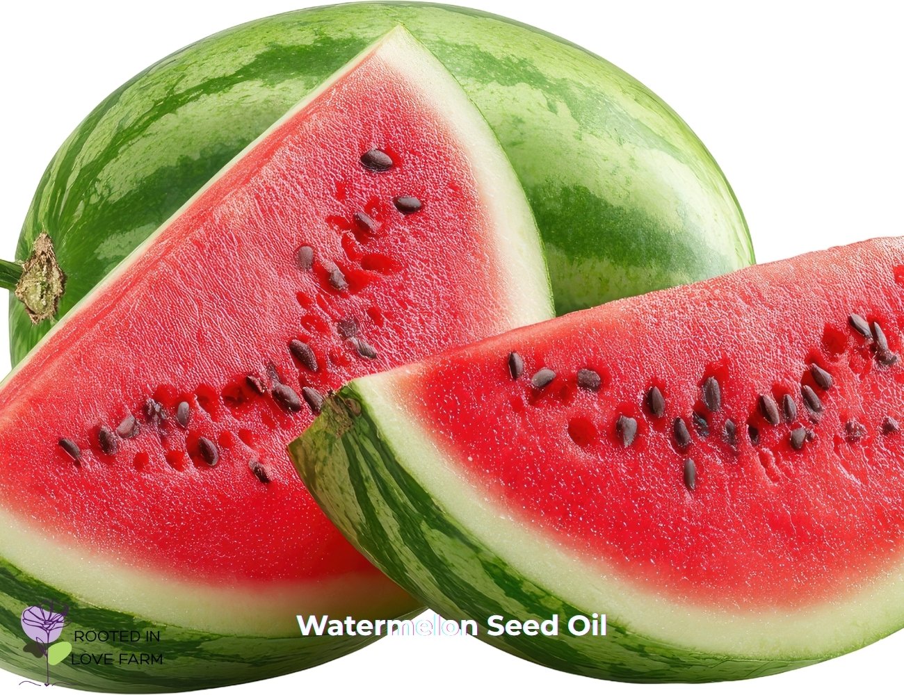 Watermelon Seed Oil.jpg