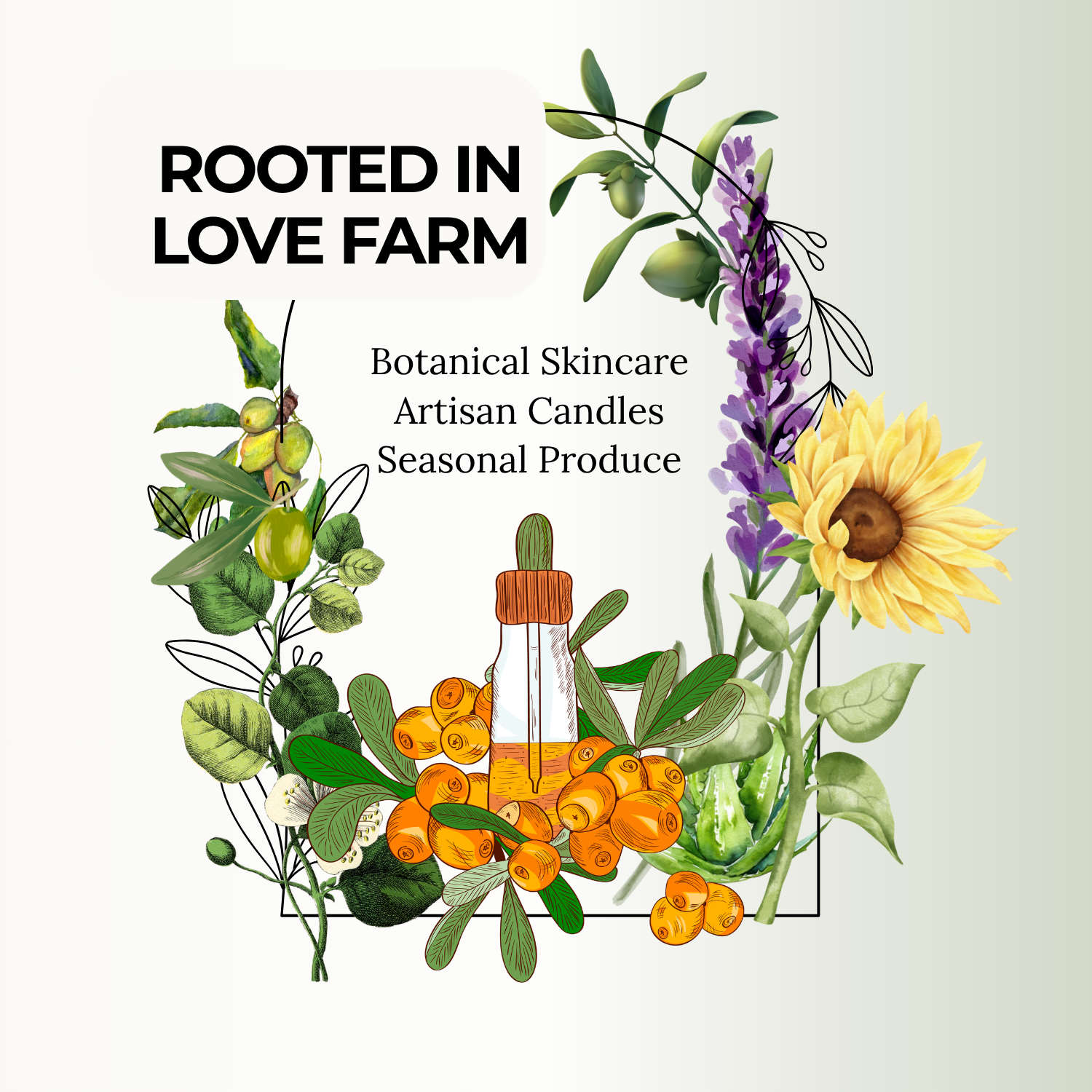 How We Choose Skincare Ingredients