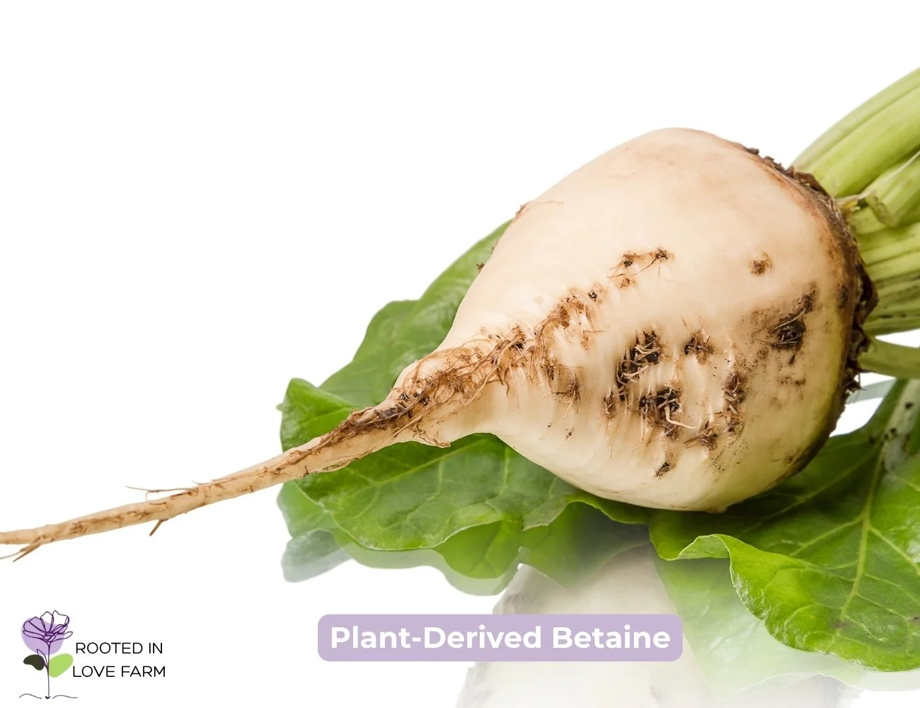 Betaine.jpg