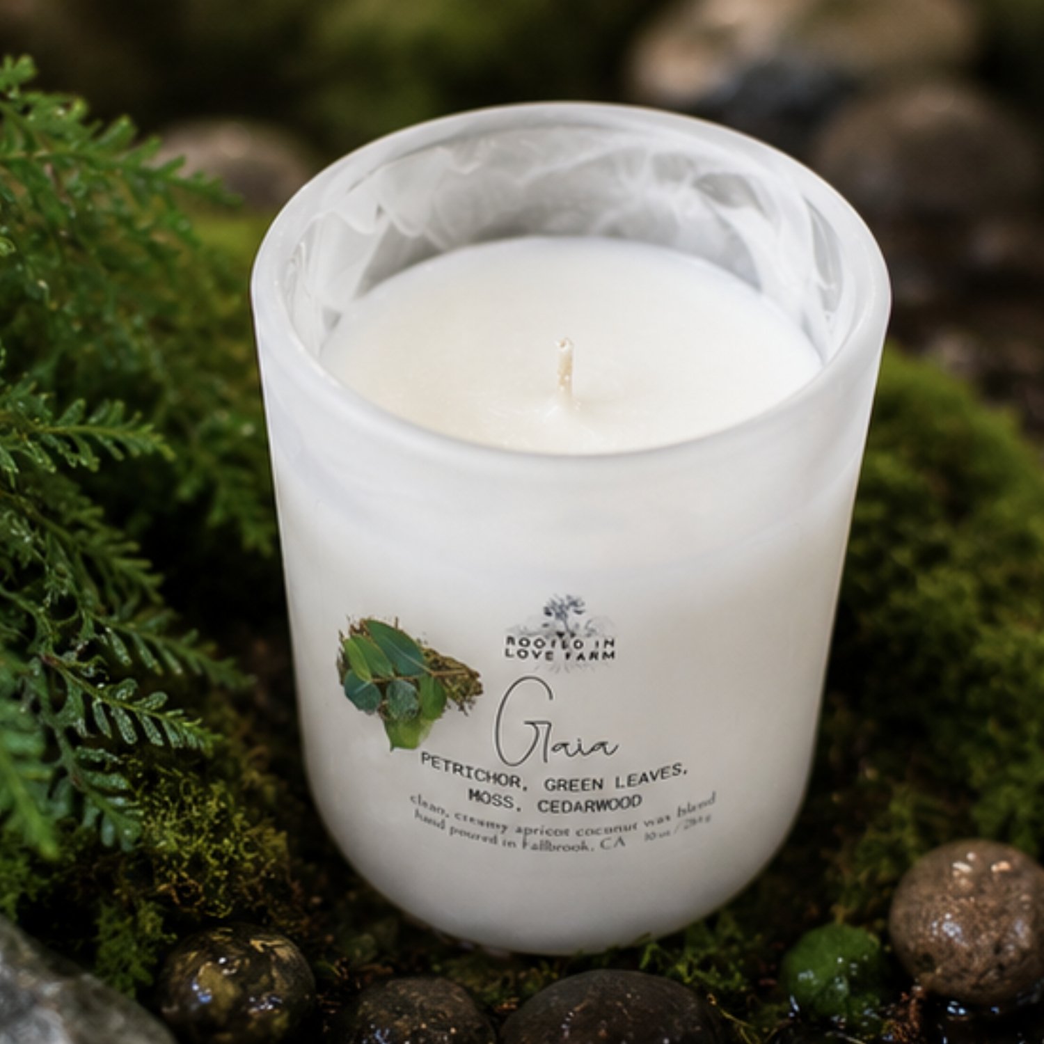 Gaia 10 oz front angle to show inside one wick with greenery.jpg