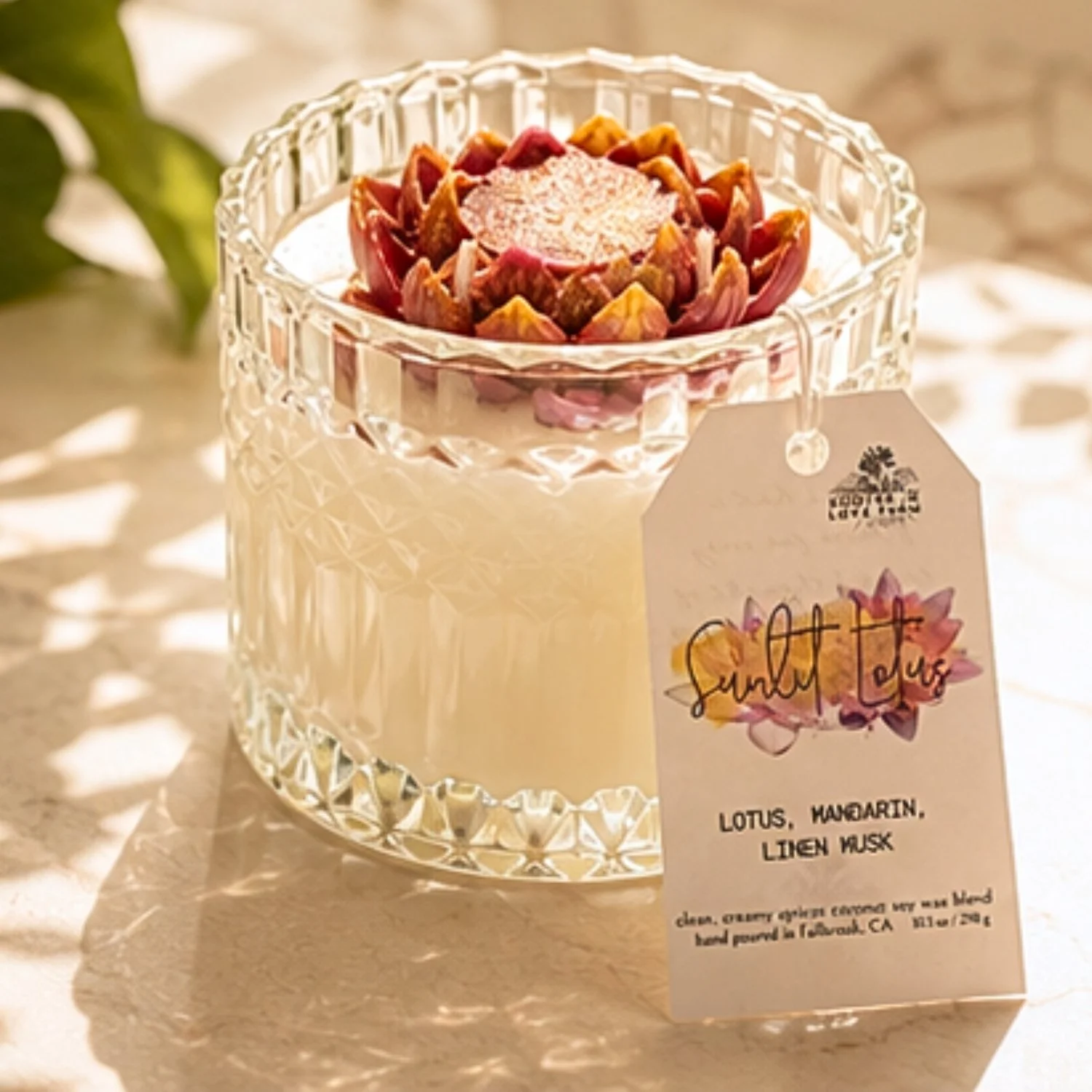 Sunlit Lotus 10.5 oz top without li.jpg