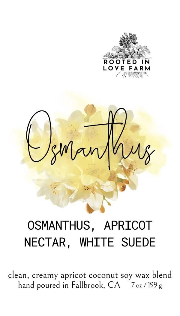 LABEL Tag Osmanthus  7 oz Card.jpg