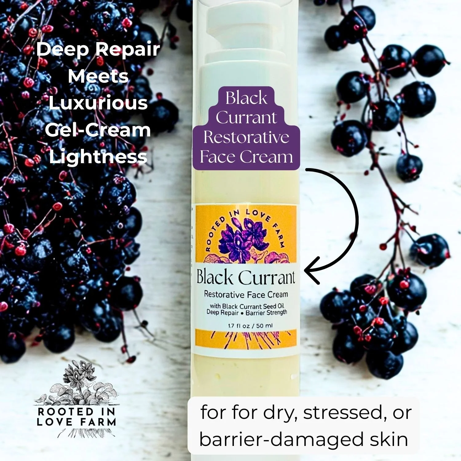 Berry Clusters Black Currant Restorative Face Cream with text.jpg