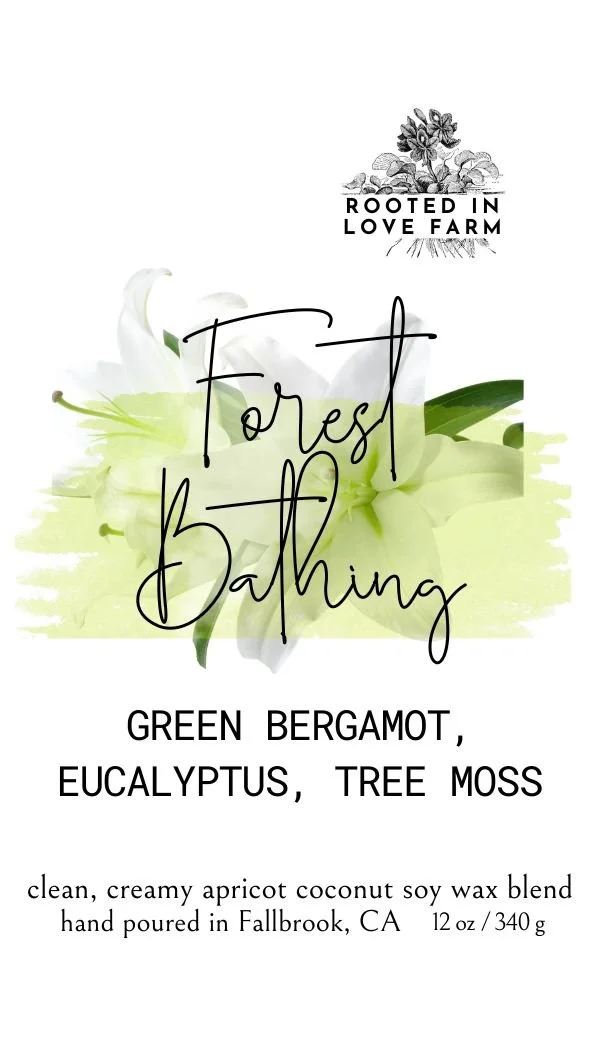 LABEL Tag Forest BAthing 12 oz.jpg