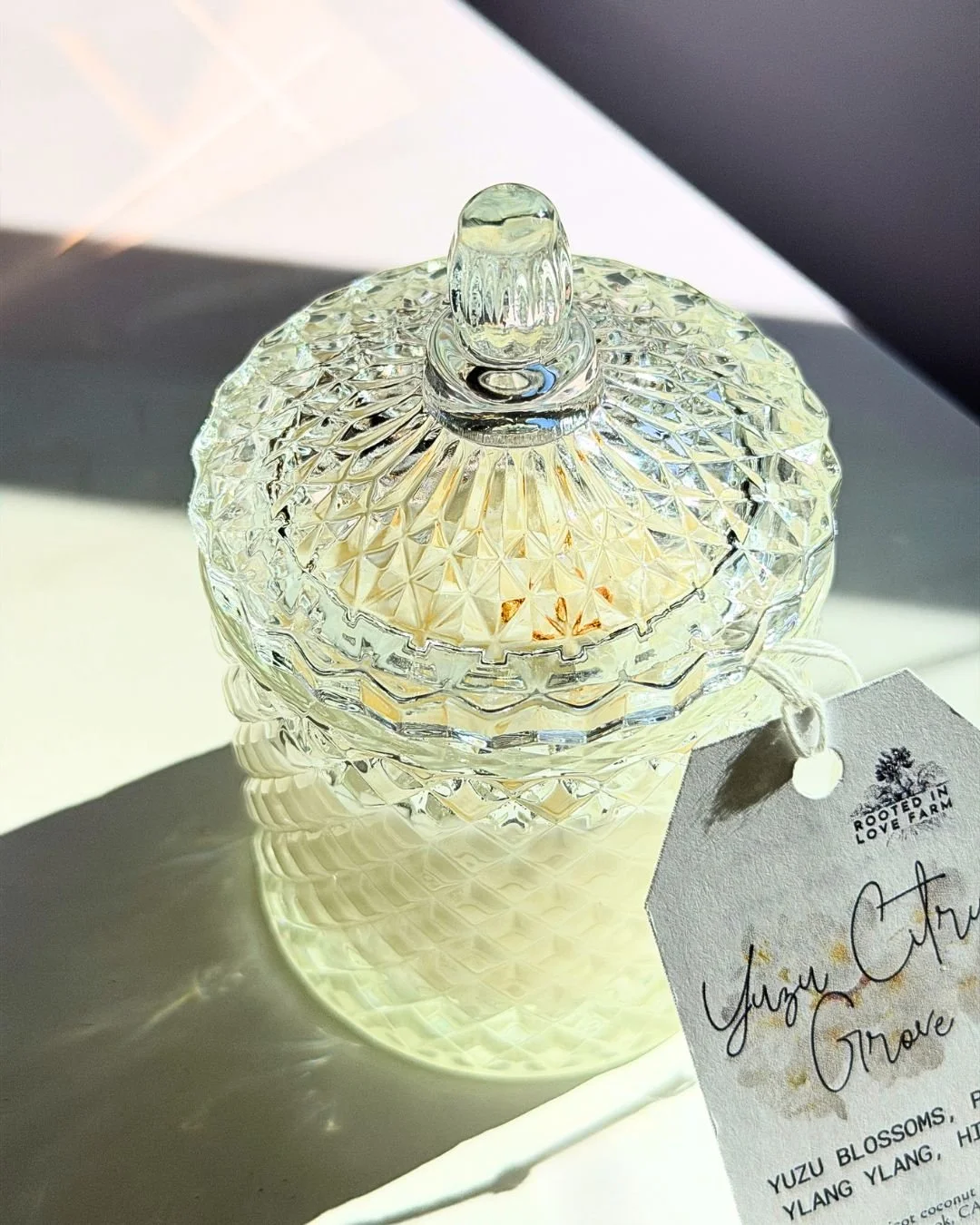 yuzu citrus candle with lid top view.jpg