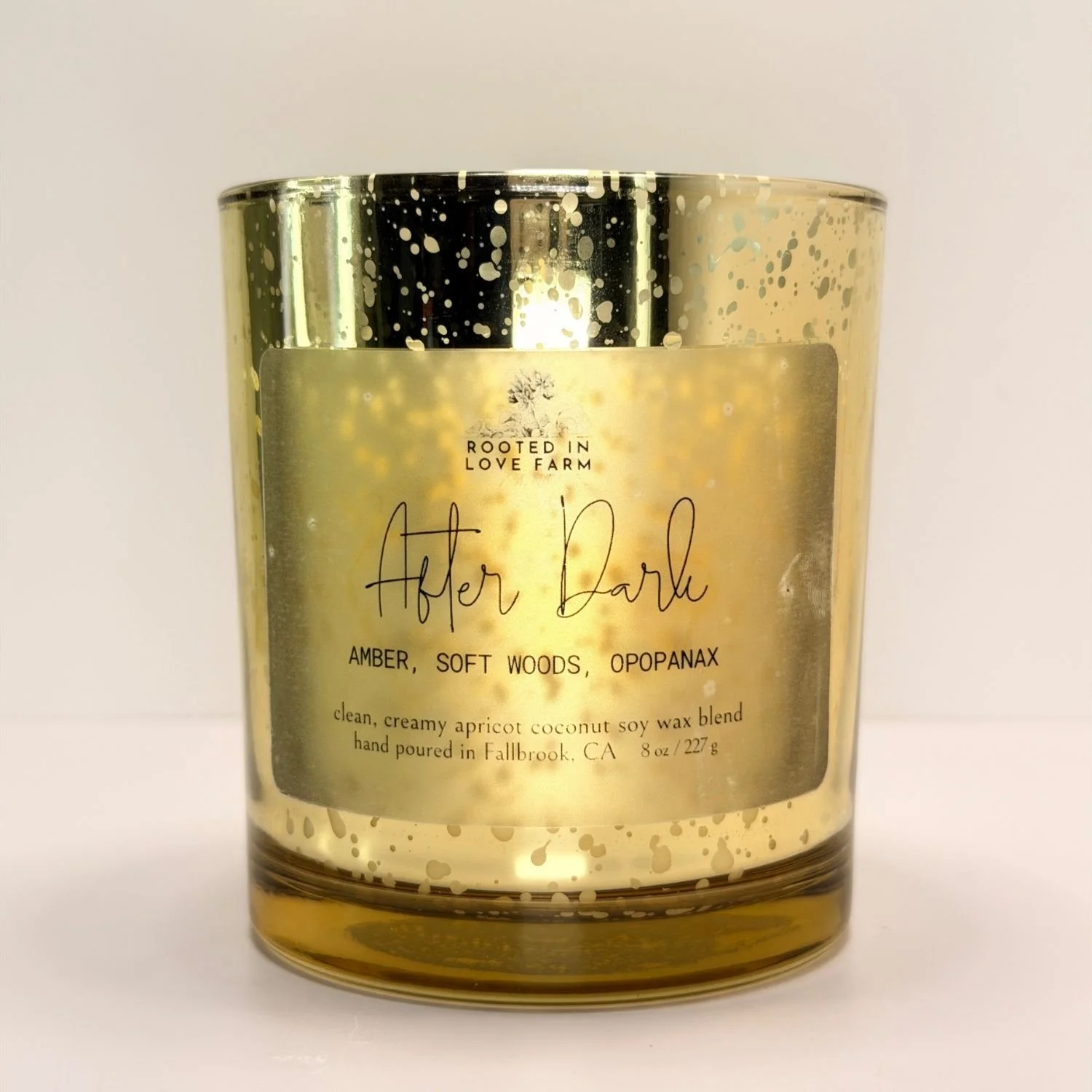 After Dark Candle rose 1500x1500.jpg