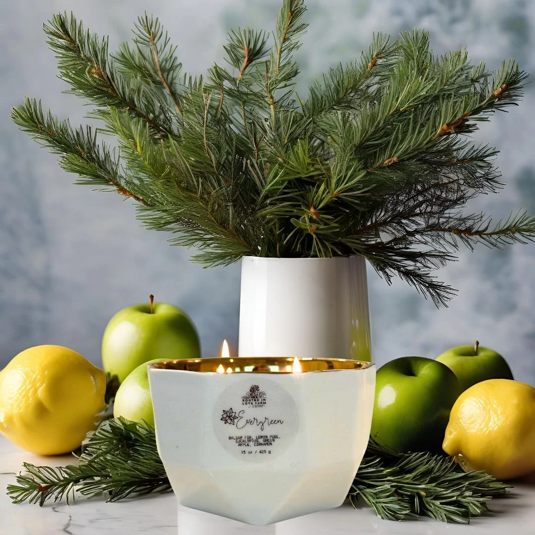 Evergreen candle in front of vase of pine branches with apples and lemons in background.jpg