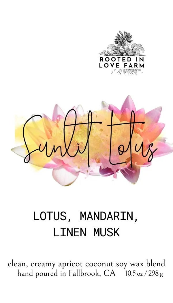 Sunlit Lotus 10.5 oz Card.jpg