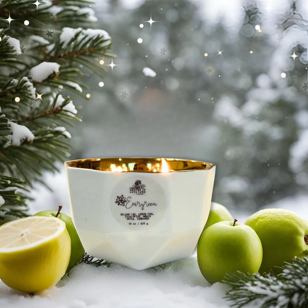 Evergreen candle with background of snowy pine branches.jpg