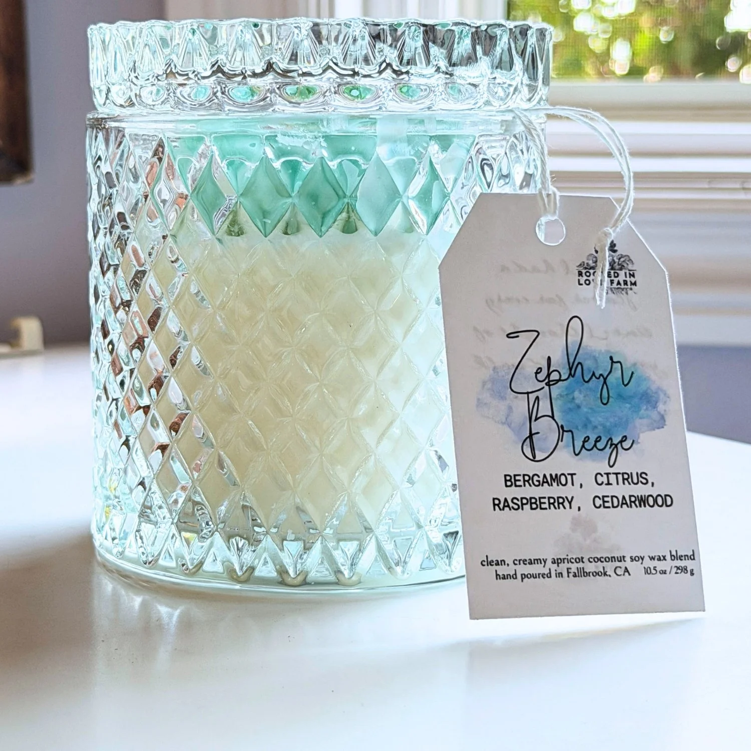 Zephyr Breeze 10.5 oz Candle front view.jpg