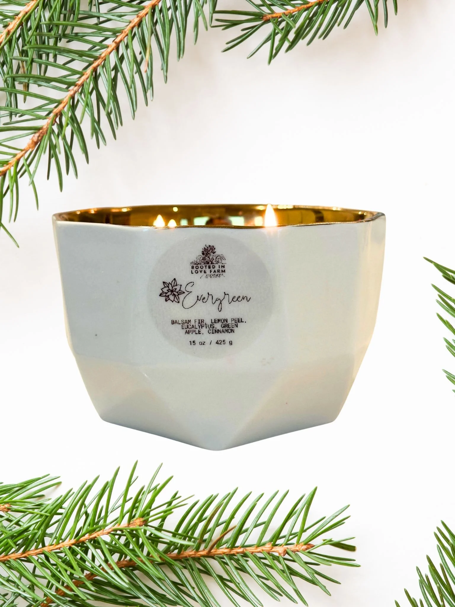 Evergreen candle on white background surrounded by pine branches.jpg