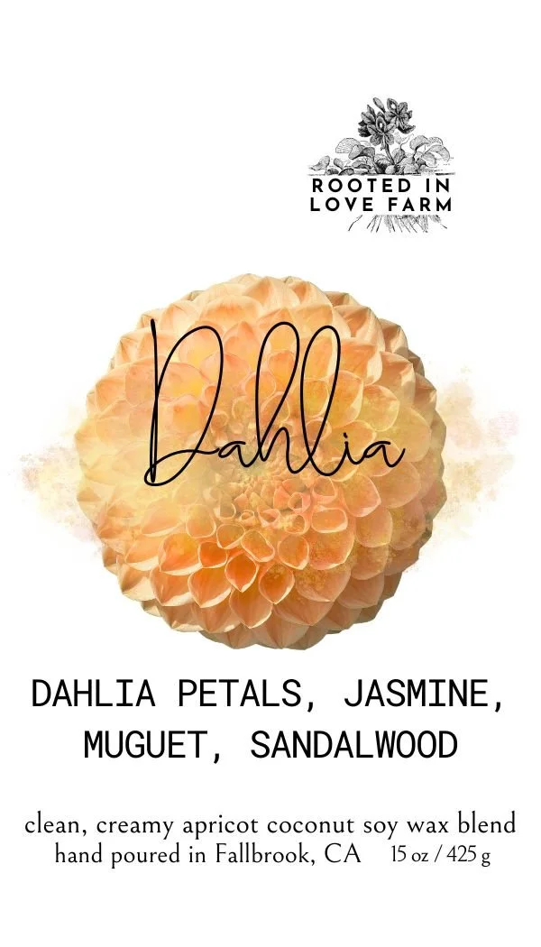 LABEL Dahlia Tag FRONT.jpg
