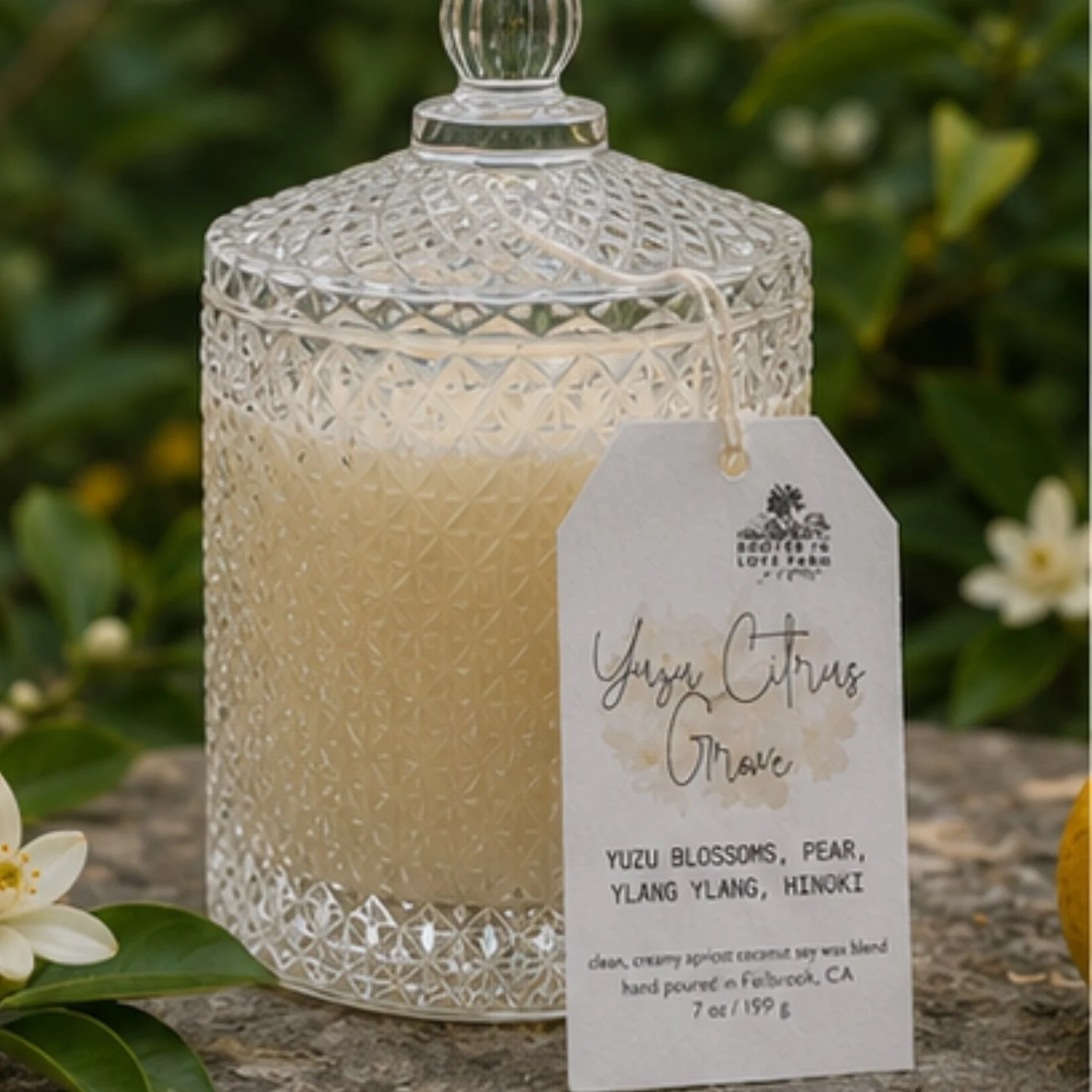 Yuzu Citrus Grove 7 oz with lid.jpg