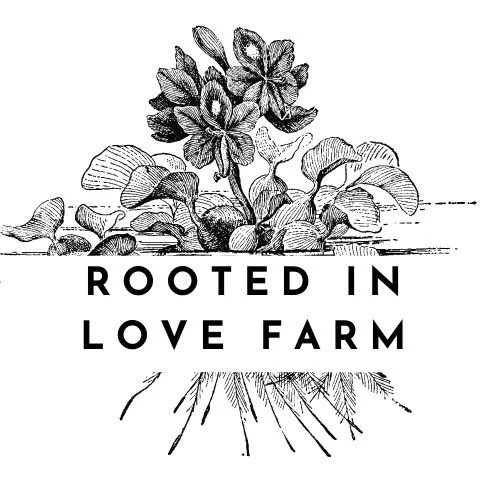 Rooted in Loved Farm