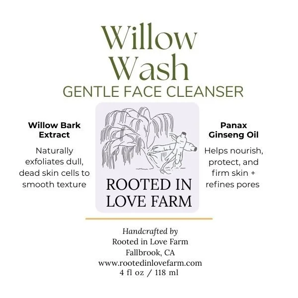 Willow Wash Face Cleanser front label.jpg
