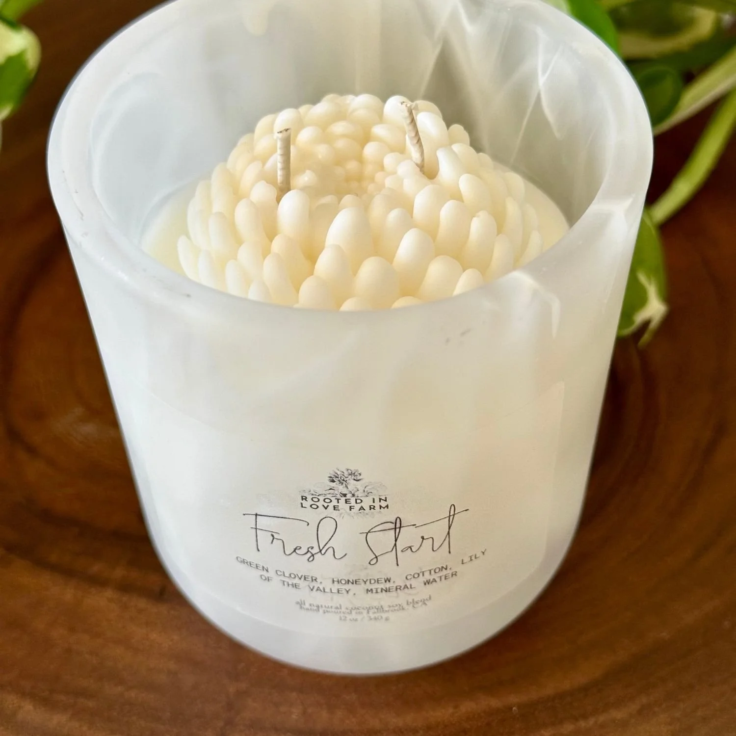 Fresh Start Candle close up top and front with greenery.jpg