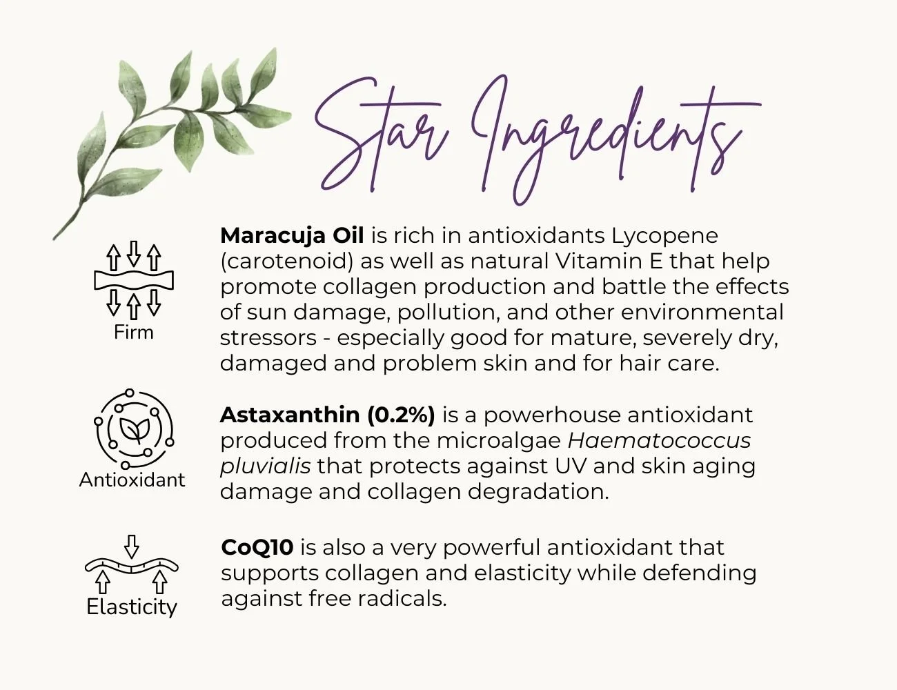 Star Ingredients Maracuja Oil by Rooted in Love Farm