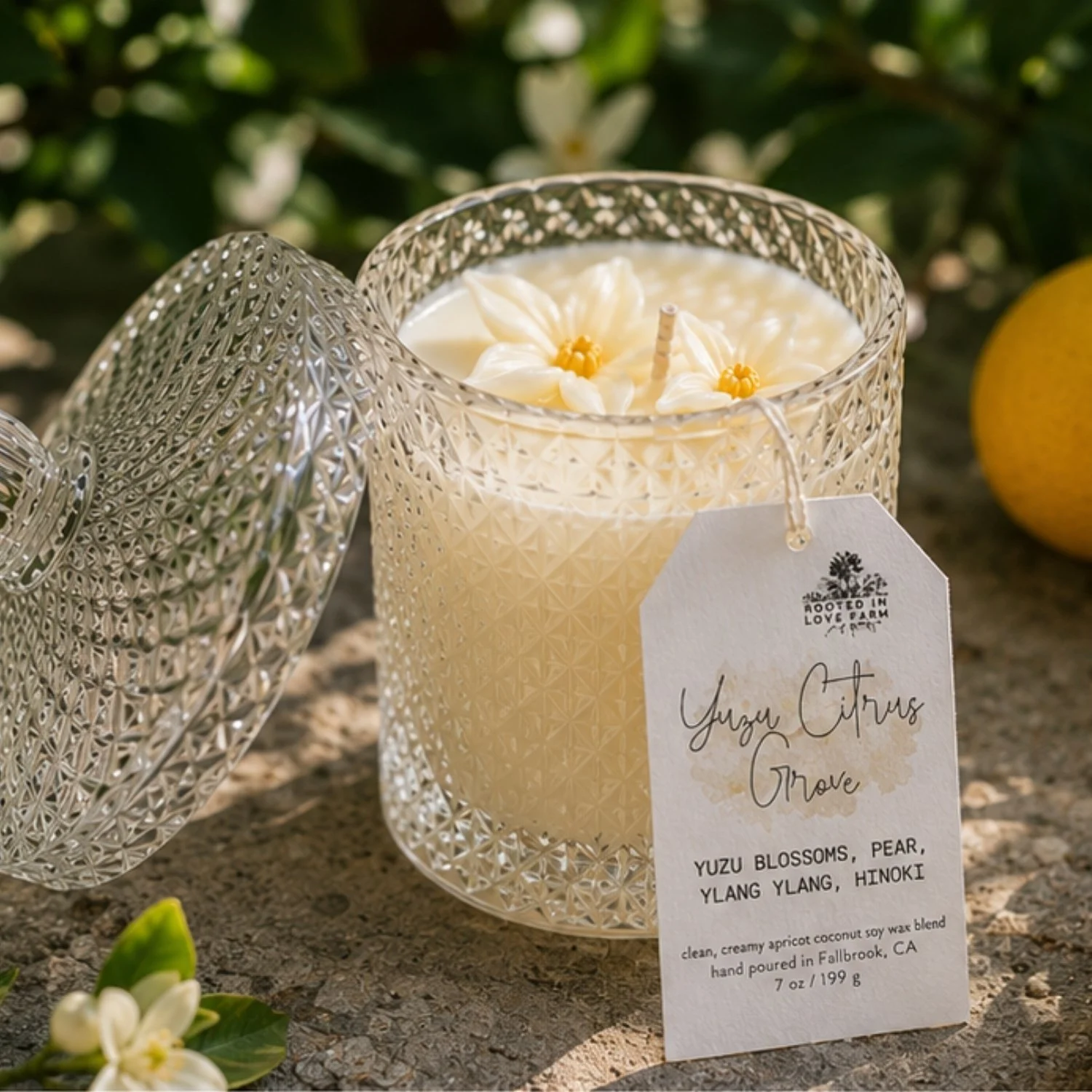 Yuzu Citrus Grove Candle
