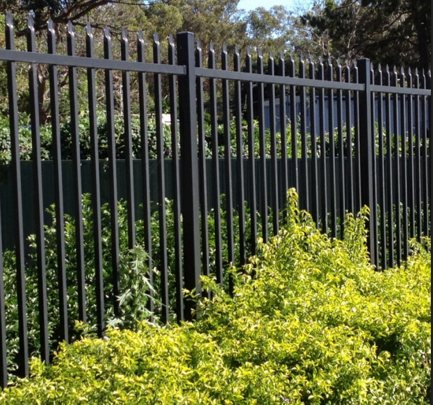 Black metal fence with vertical bars and pointed tips, with green bushes and trees behind and in front of it.