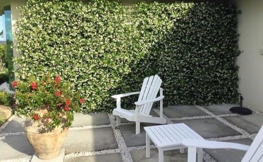 Outdoor patio with white Adirondack chair and a side table, large potted flowering plant, and a green hedge background.