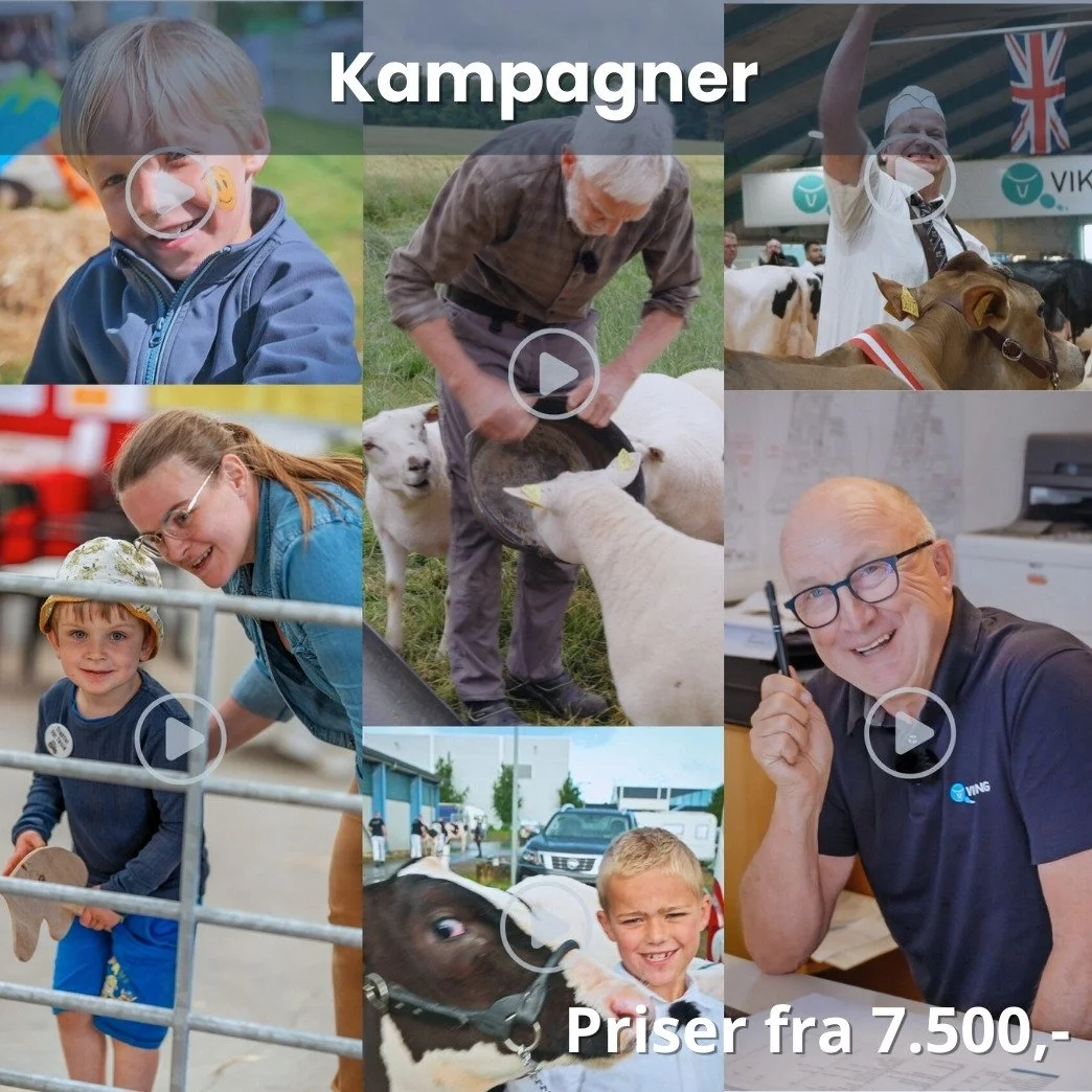 Kampagner