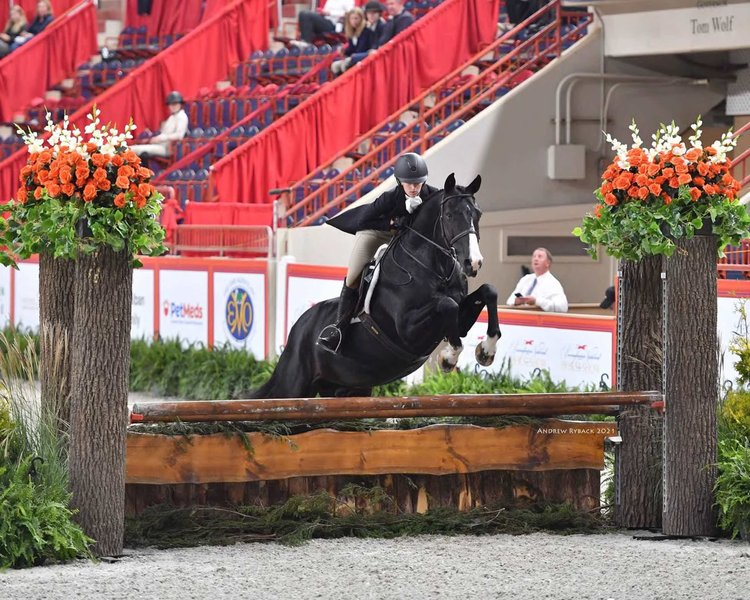 Adare Condon & Quentin, Junior Hunters, Pennsylvania National Horse Show 2021
