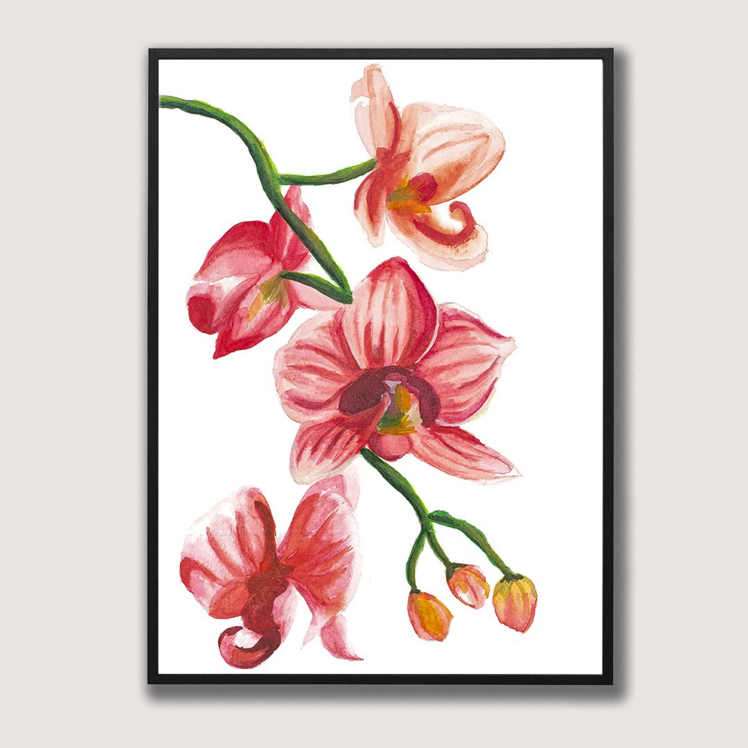 Orchid