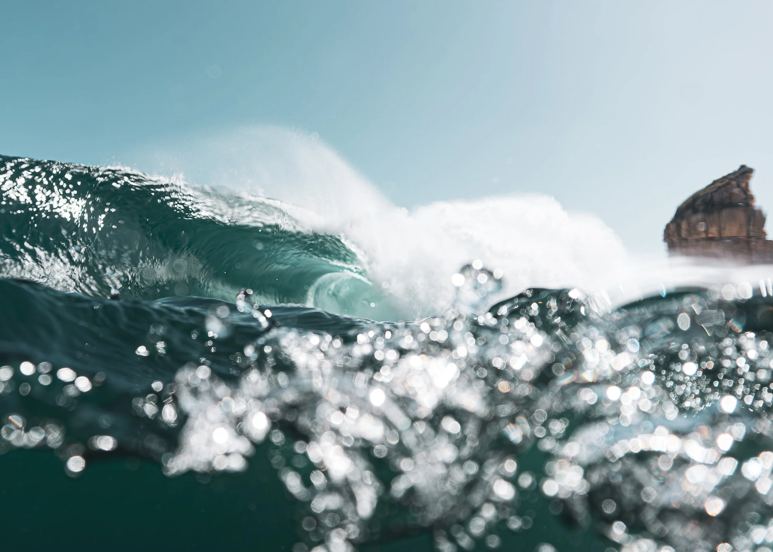 Monnies (1 of 1).JPG