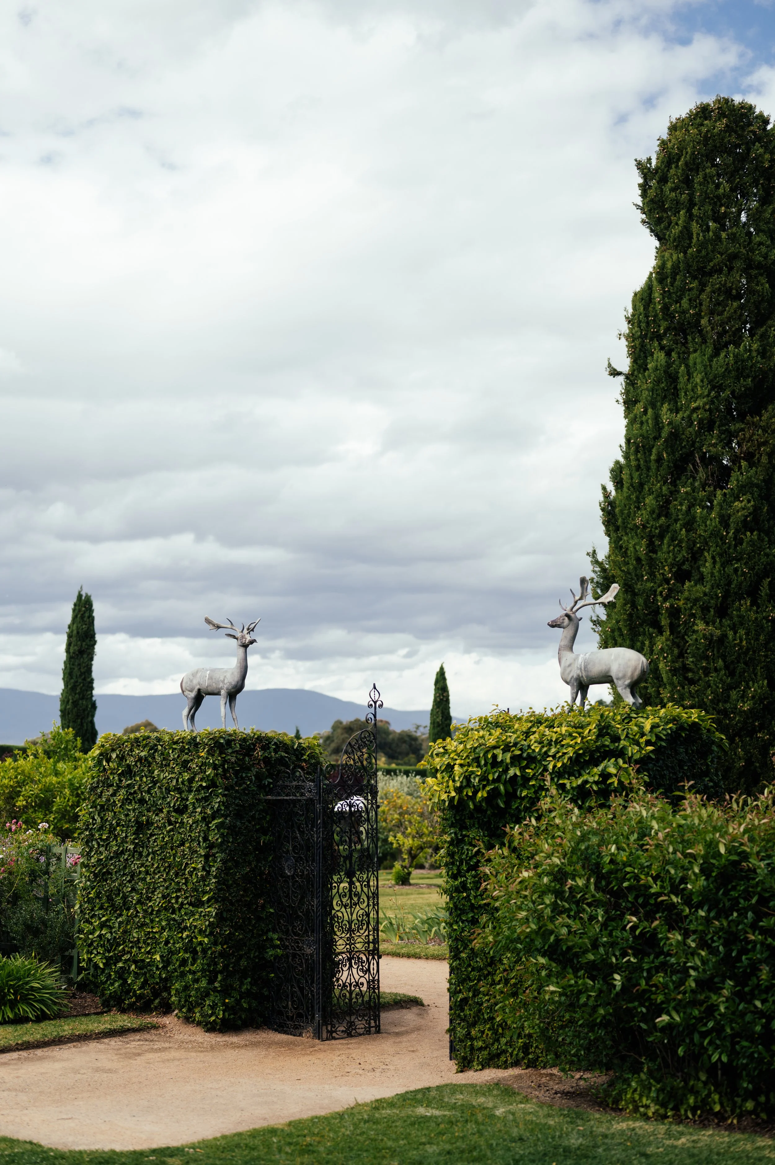 Motta Weddings - Savannah and Sam-326.jpg
