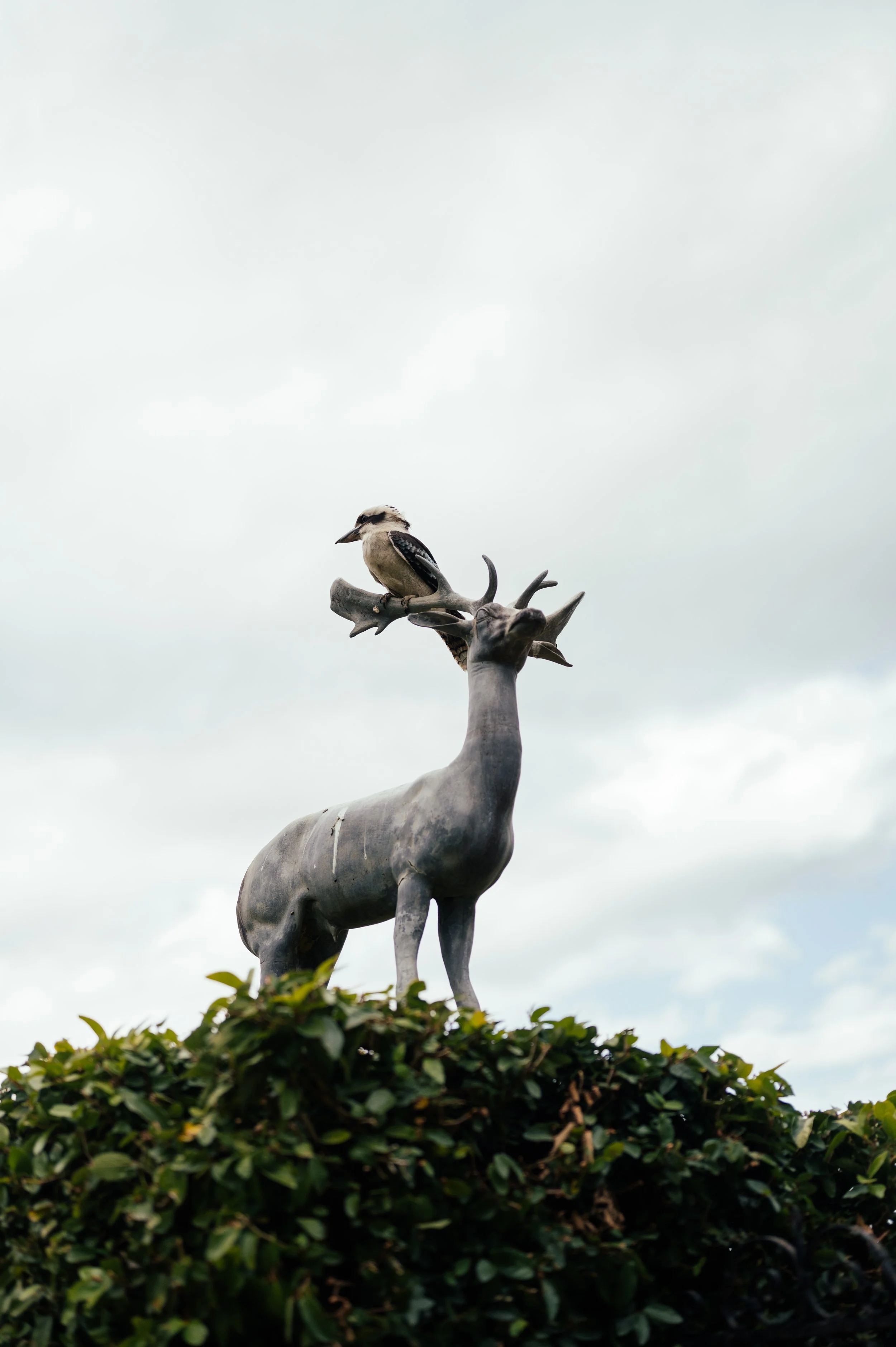 Motta Weddings - Savannah and Sam-545.jpg