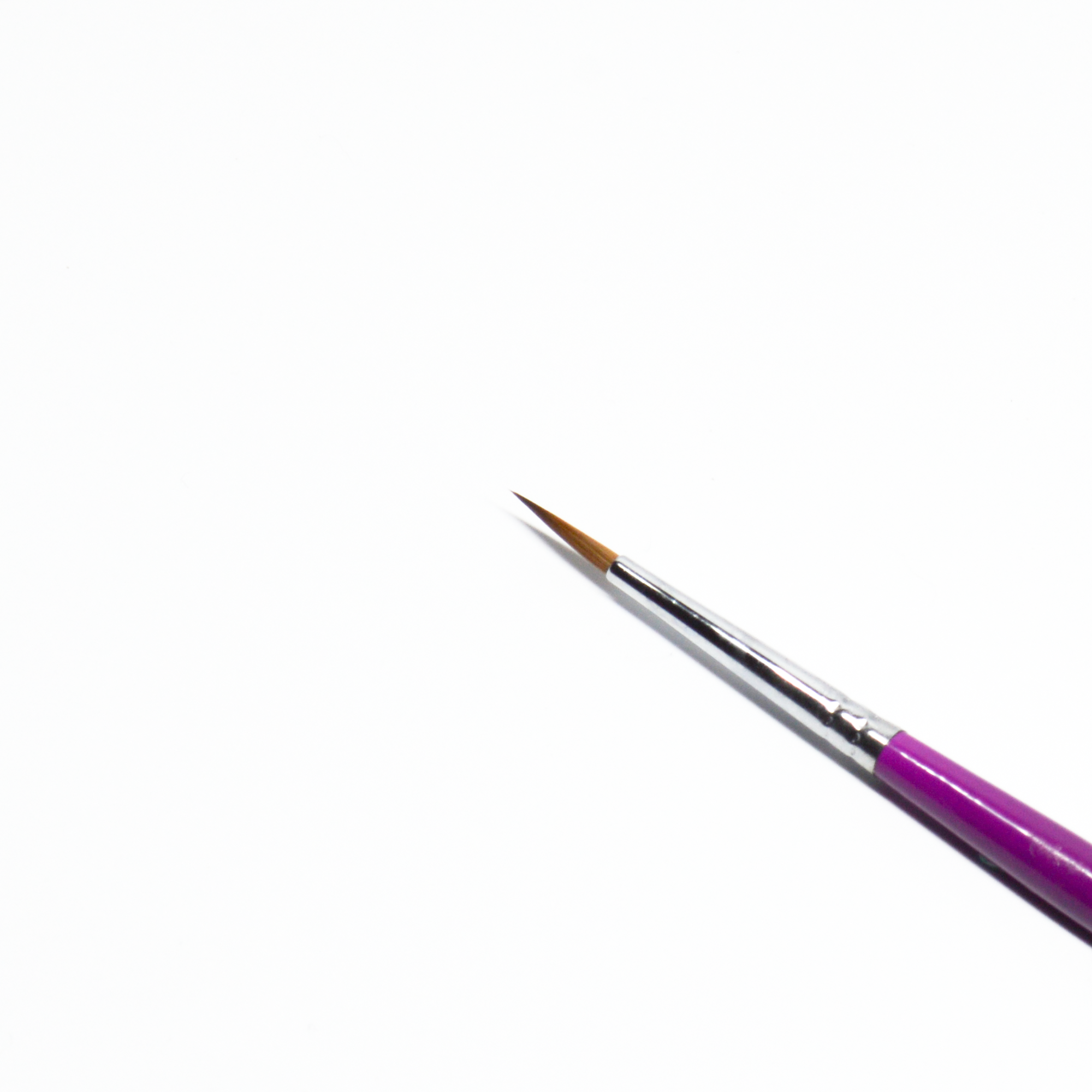 Workhorse Close No Logo.png