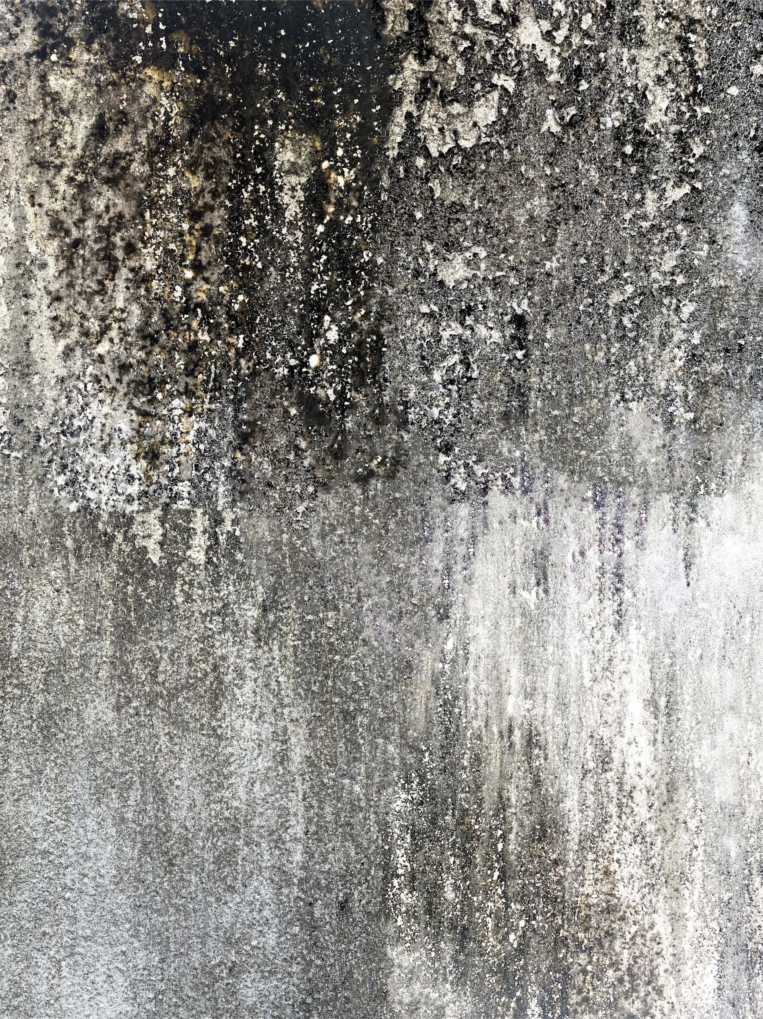 03.Cement Painting.jpg