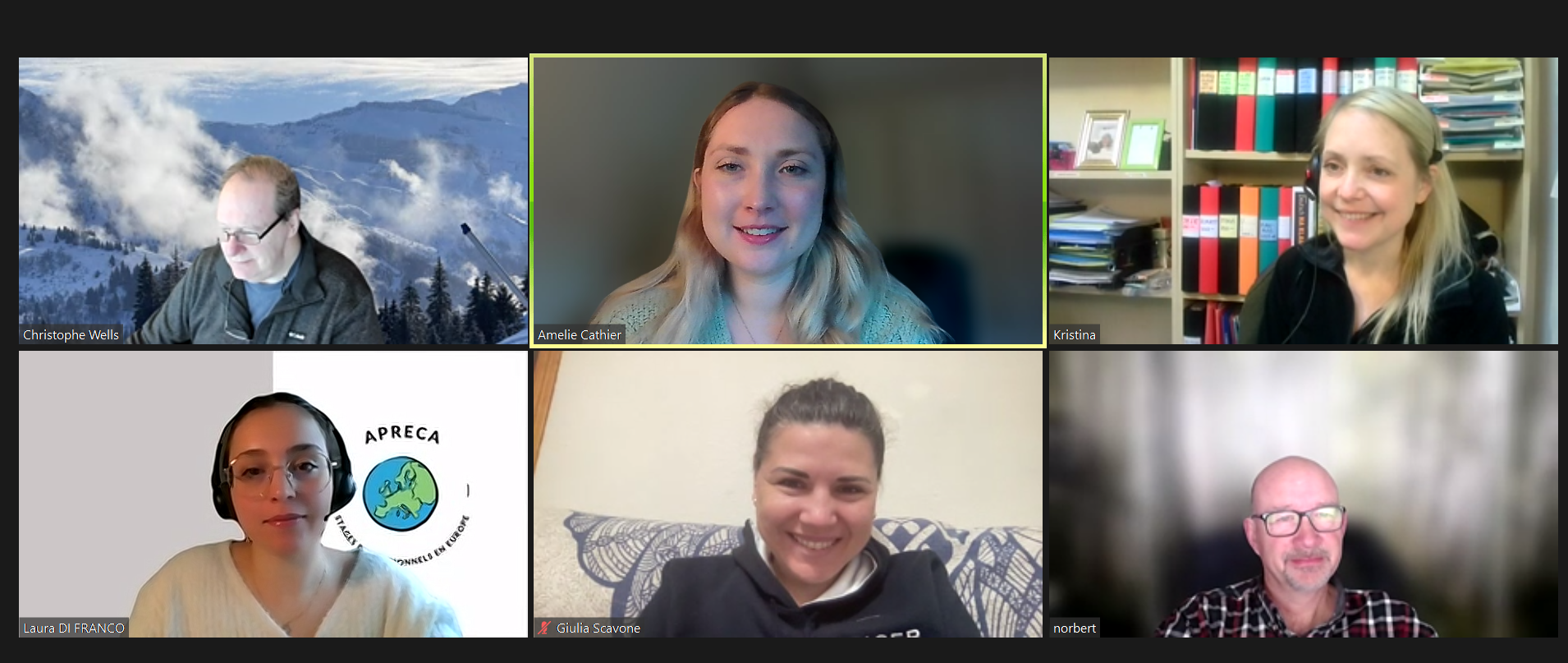 Virtual Transnational Meeting
