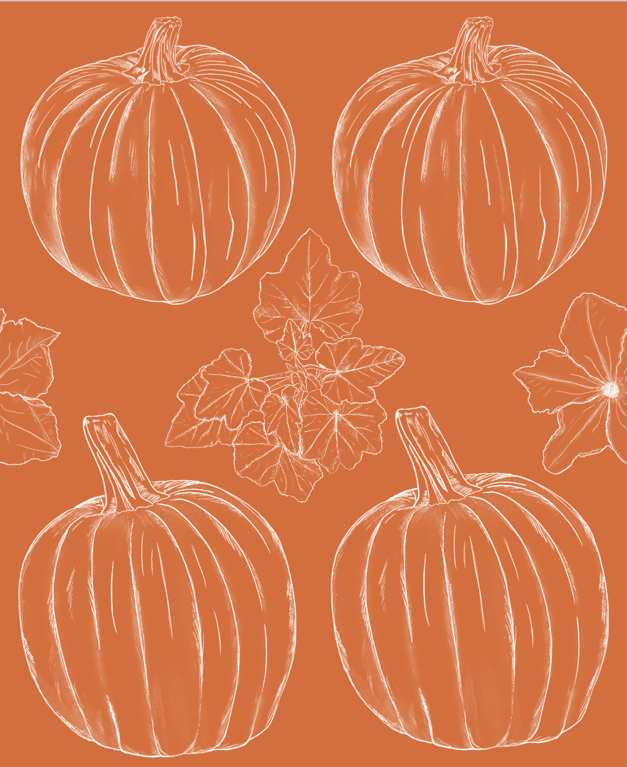 pumpkin_repeat_2.png