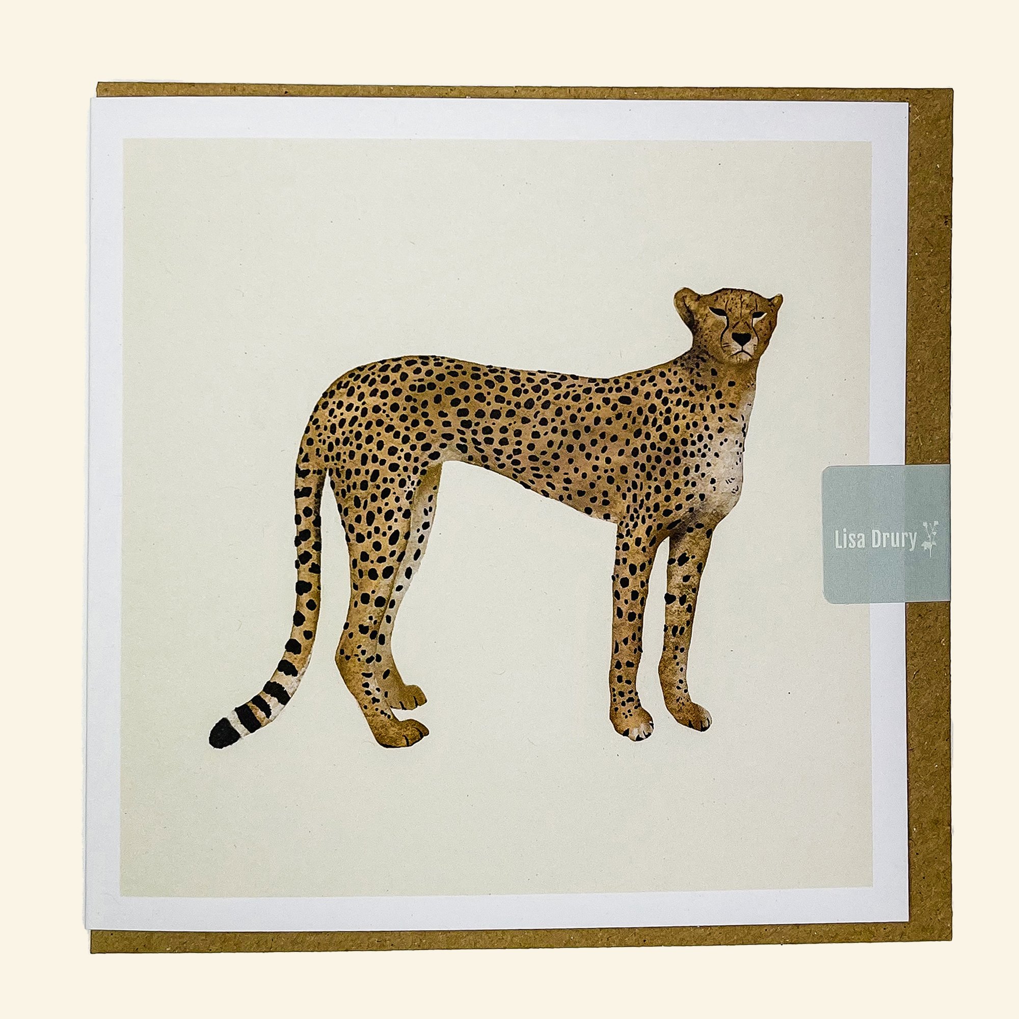 cheetah_greetingcard.jpg