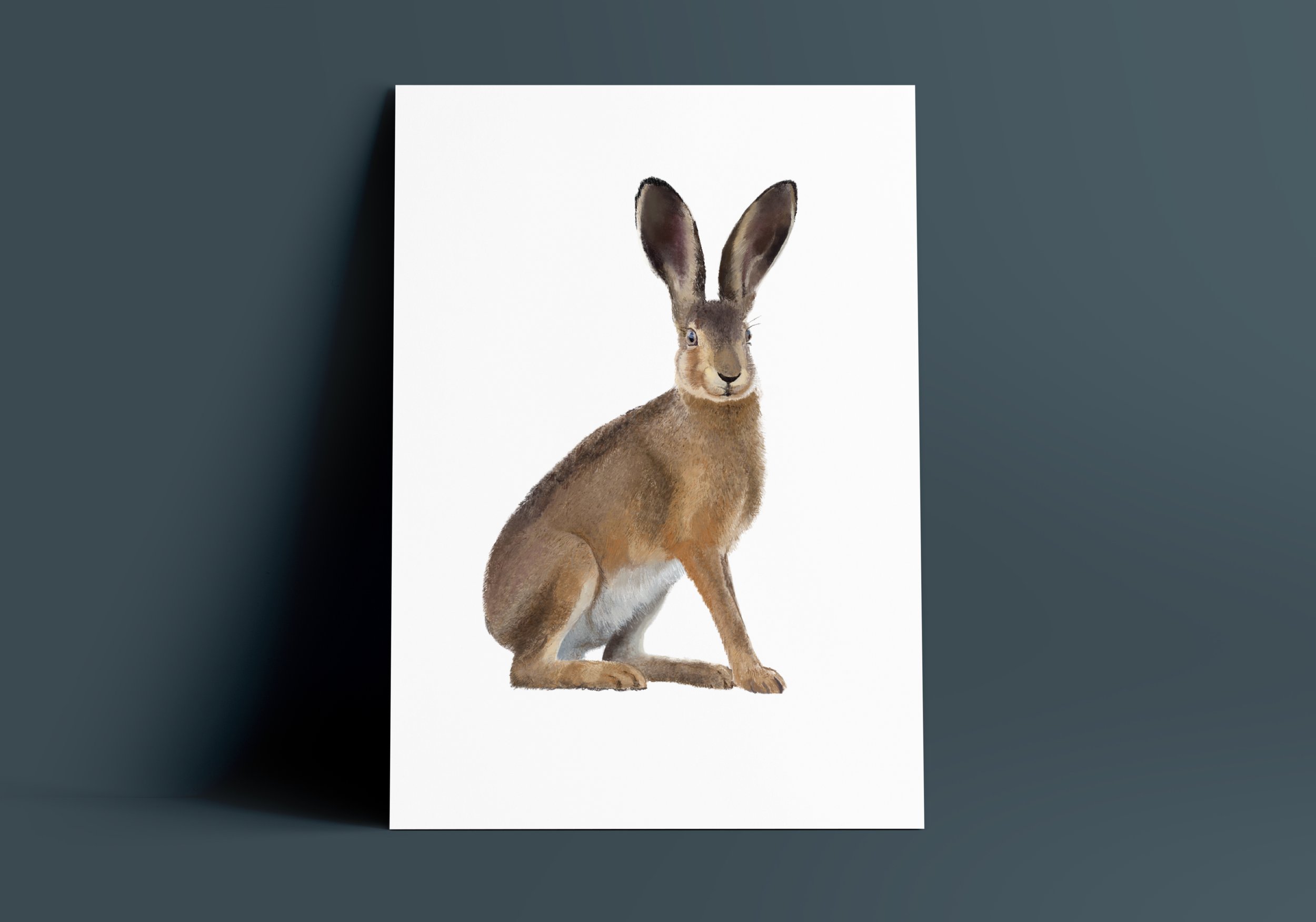 hare_print_unframed.jpg