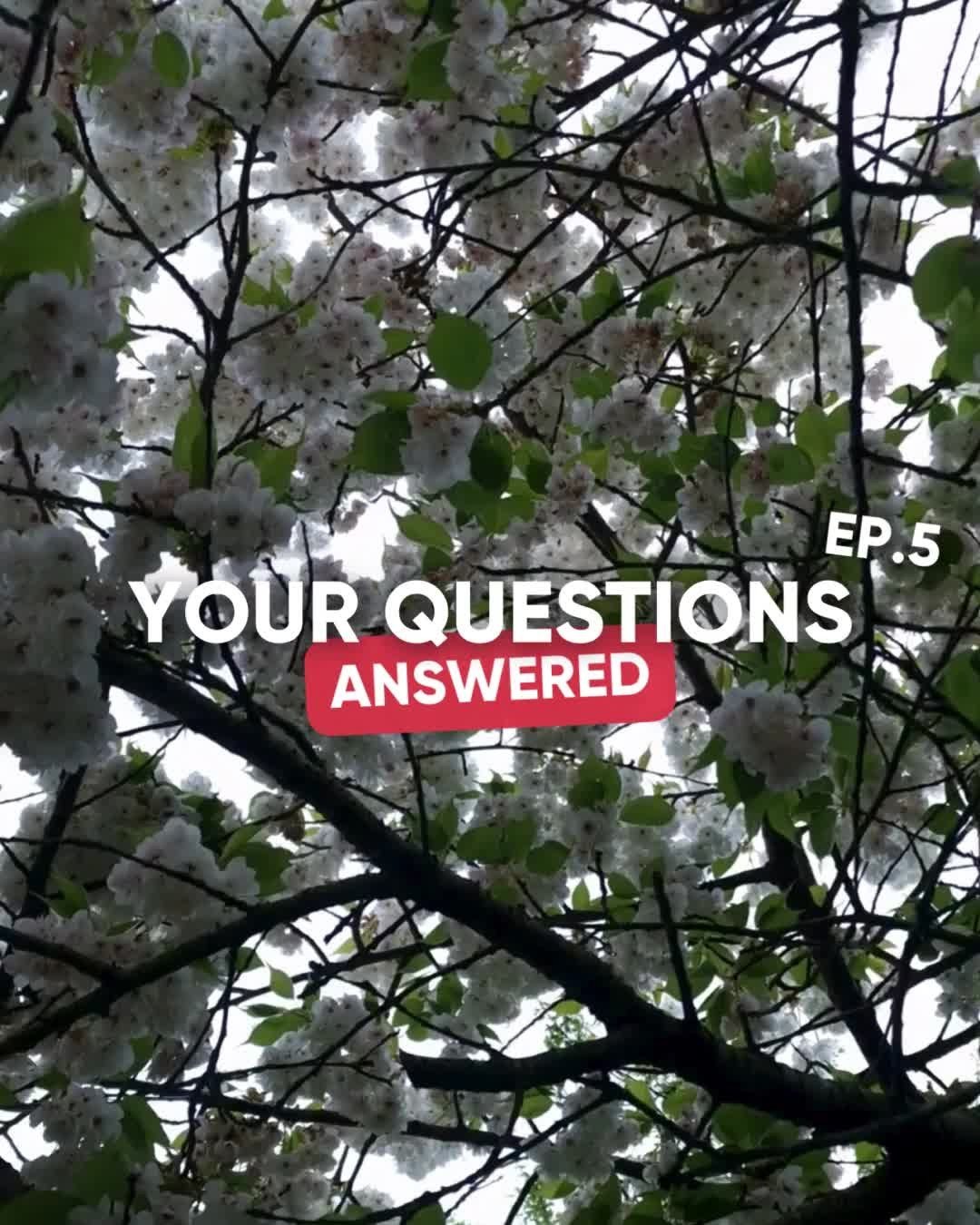 This week you wanted to know about the best software, scheduling tools and how to build connection when you don't show your face online.

I'd love to know your thoughts on faceless accounts. I know they're a bit of a hot topic at the moment as there'