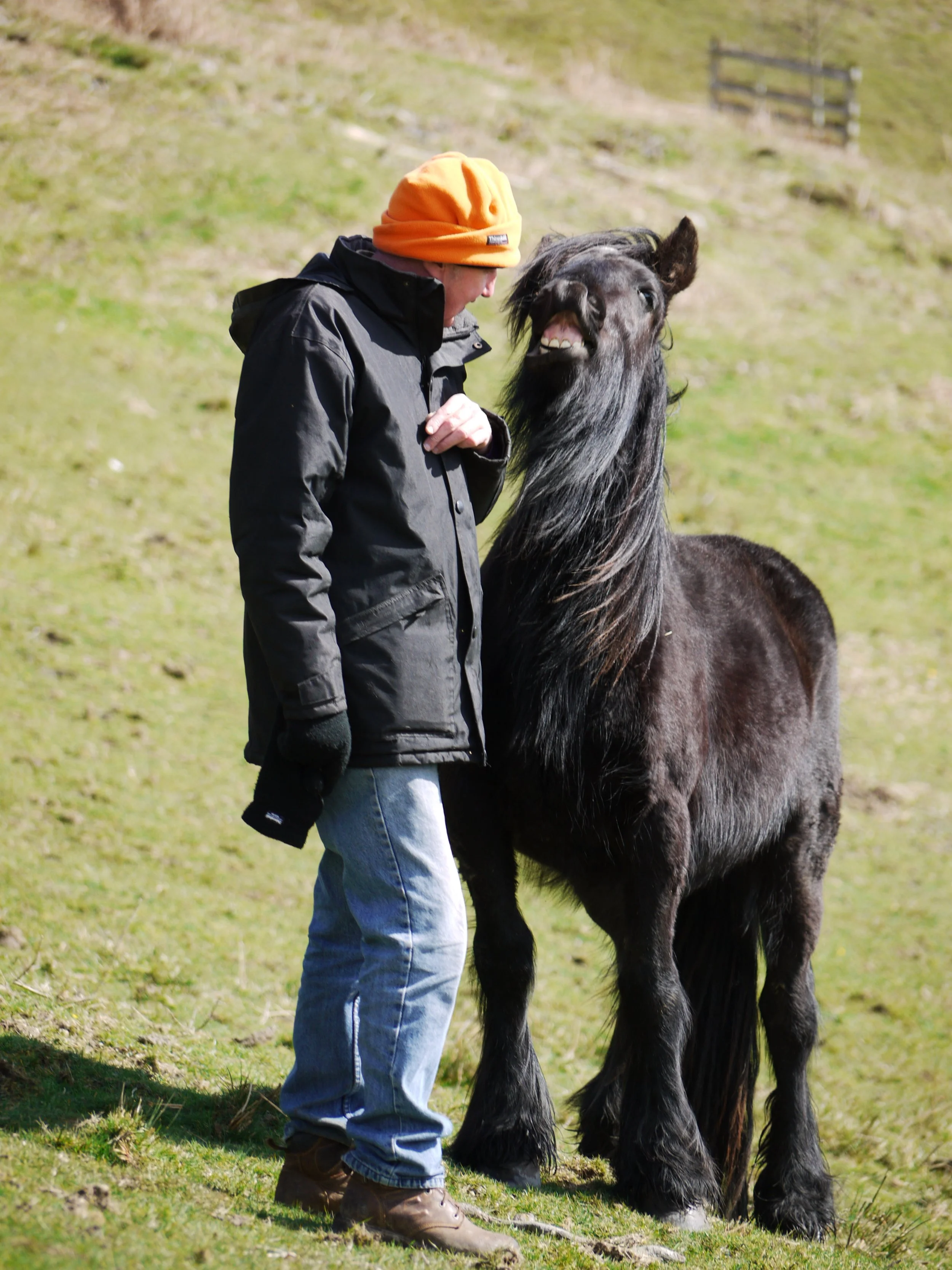 Forty Farms Fair - Rheged Centre