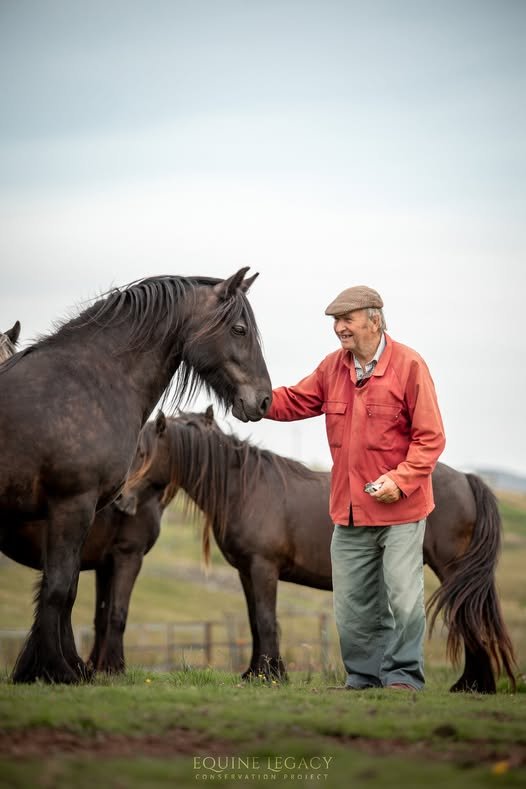 Greenholme Stud Open Day 