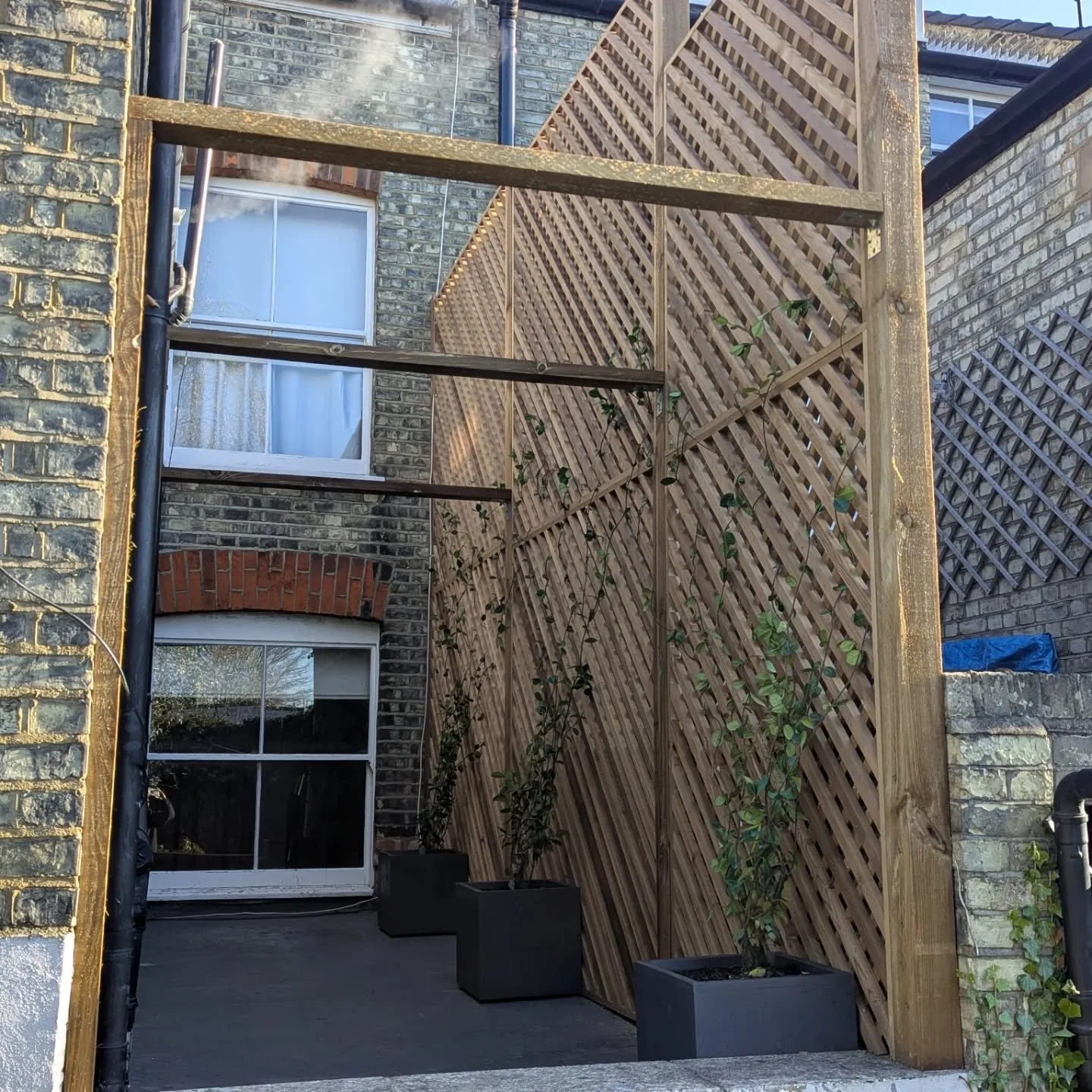 It started as nothing, just a standard empty roof space.....but has been transformed into this!! Can't wait for the jasmine to take hold and create some fragrant privacy screen and taking hold of the supports. I'm sure the pollinators will approve 😁