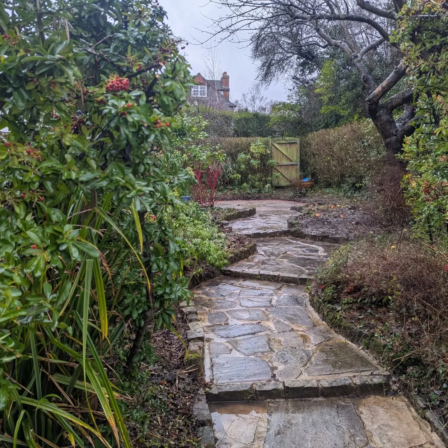 New client asked.......'are you able to bring some life into my garden?' Challenge on! And look what we found underneath all that neglect. Tough 2 days but well worth it!! #gardenmaintenance #gardening #gardenrevival #gardens #hampstead