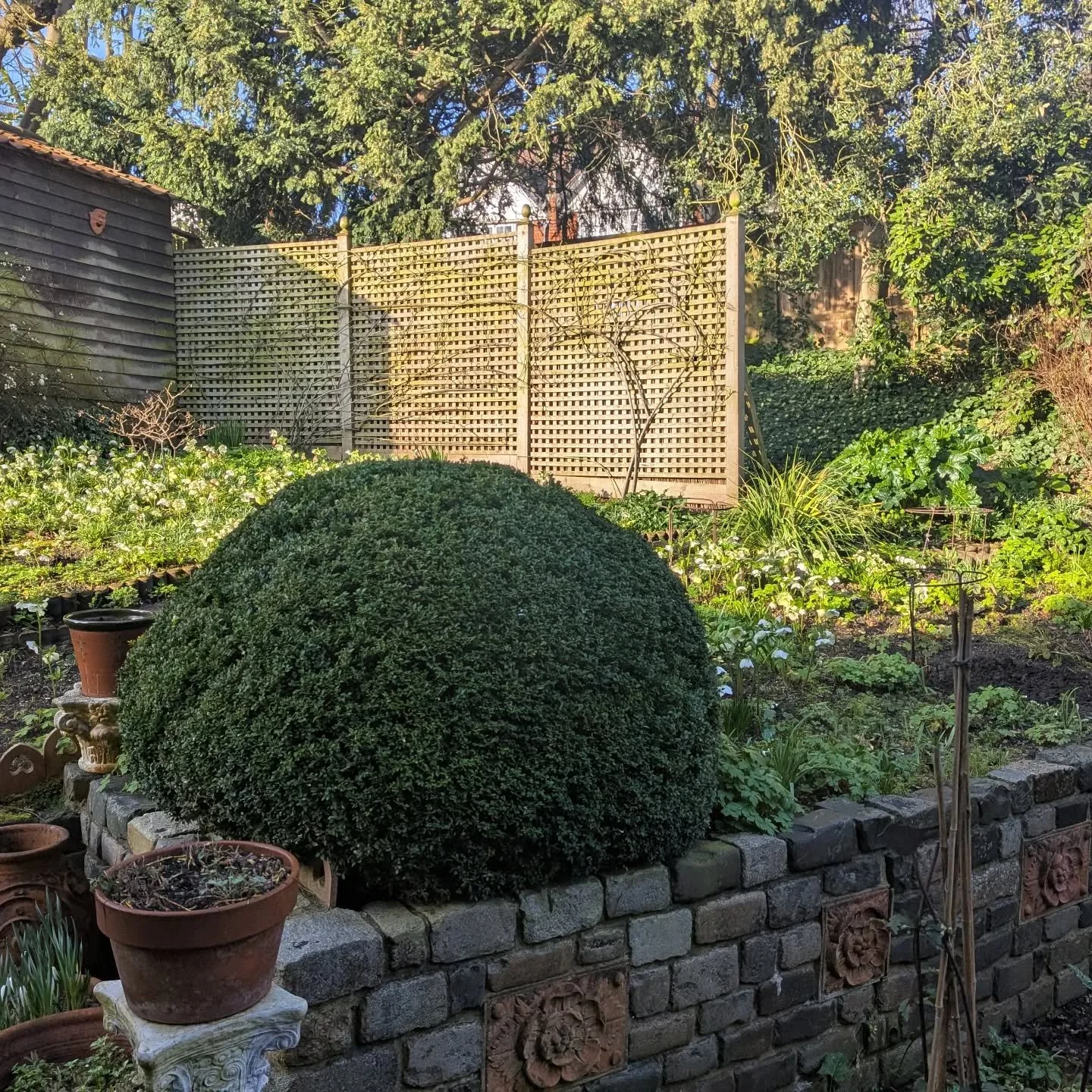 Our office for the day......sun is shining, birds are singing #crouchend #muswellhill #outdoorslife #worklife❤️ #gardening