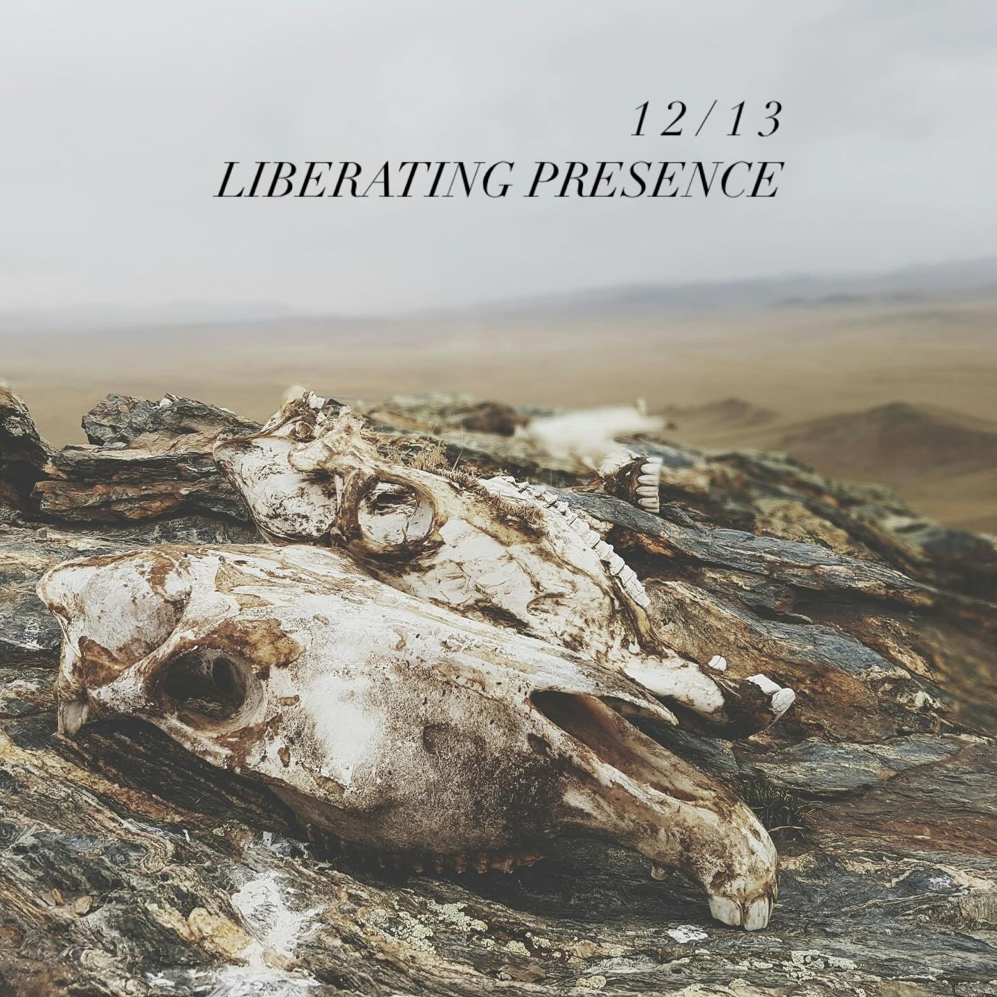 LIBERATING PRESENCE 

The main SHADOW I perceive in this theme of death&mdash;the force that decays&mdash;is the illusion of stability. That things remain, are safe, and will last. That our physical life is eternal in some sense, and takes with that,