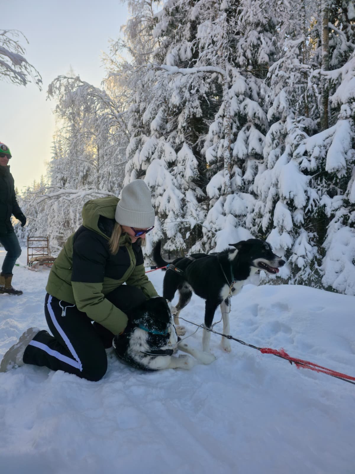 WhatsApp Image 2026-03-05 at 9.05.19 AM (1).jpeg