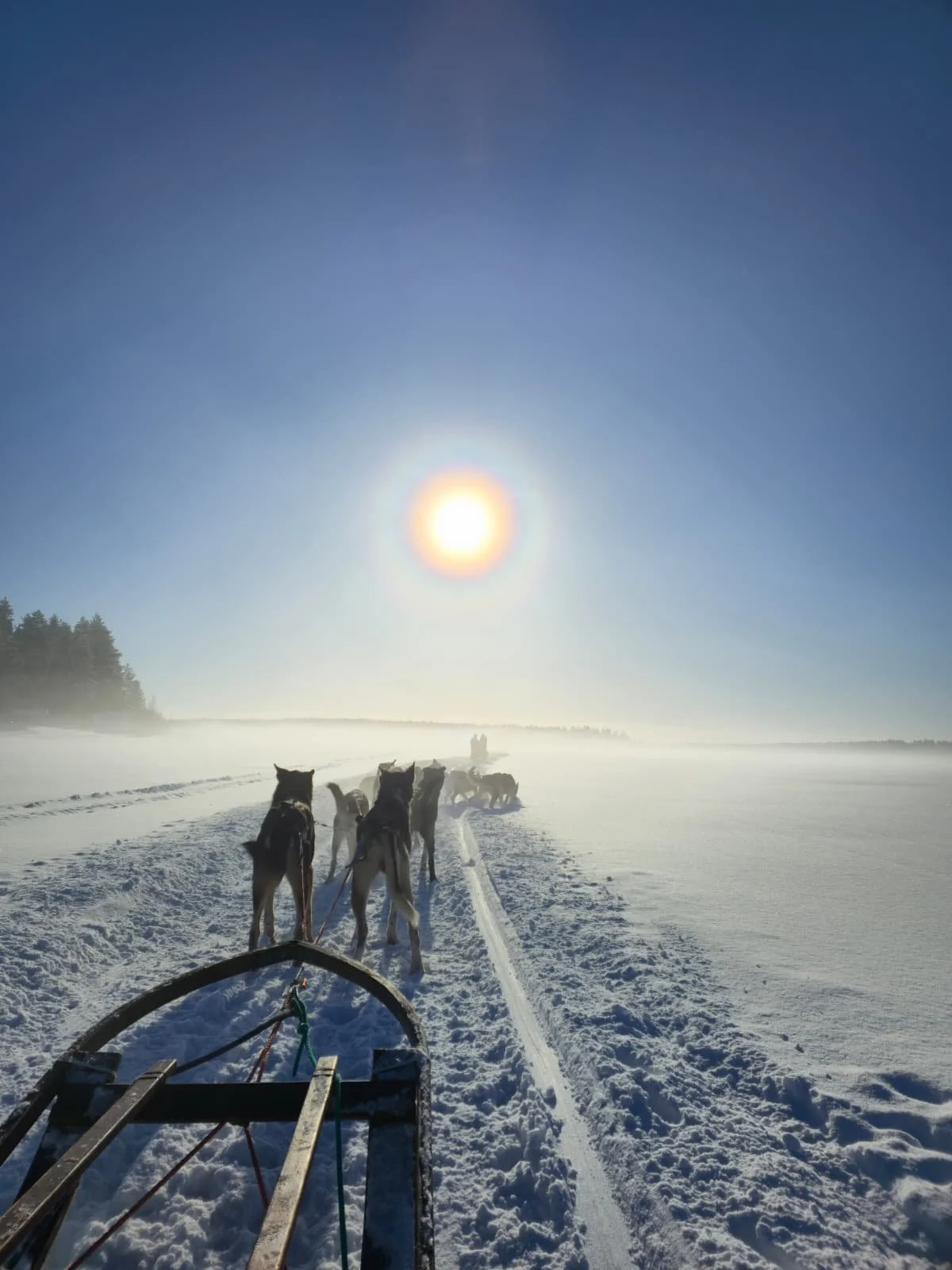 WhatsApp Image 2026-03-05 at 9.05.19 AM.jpeg