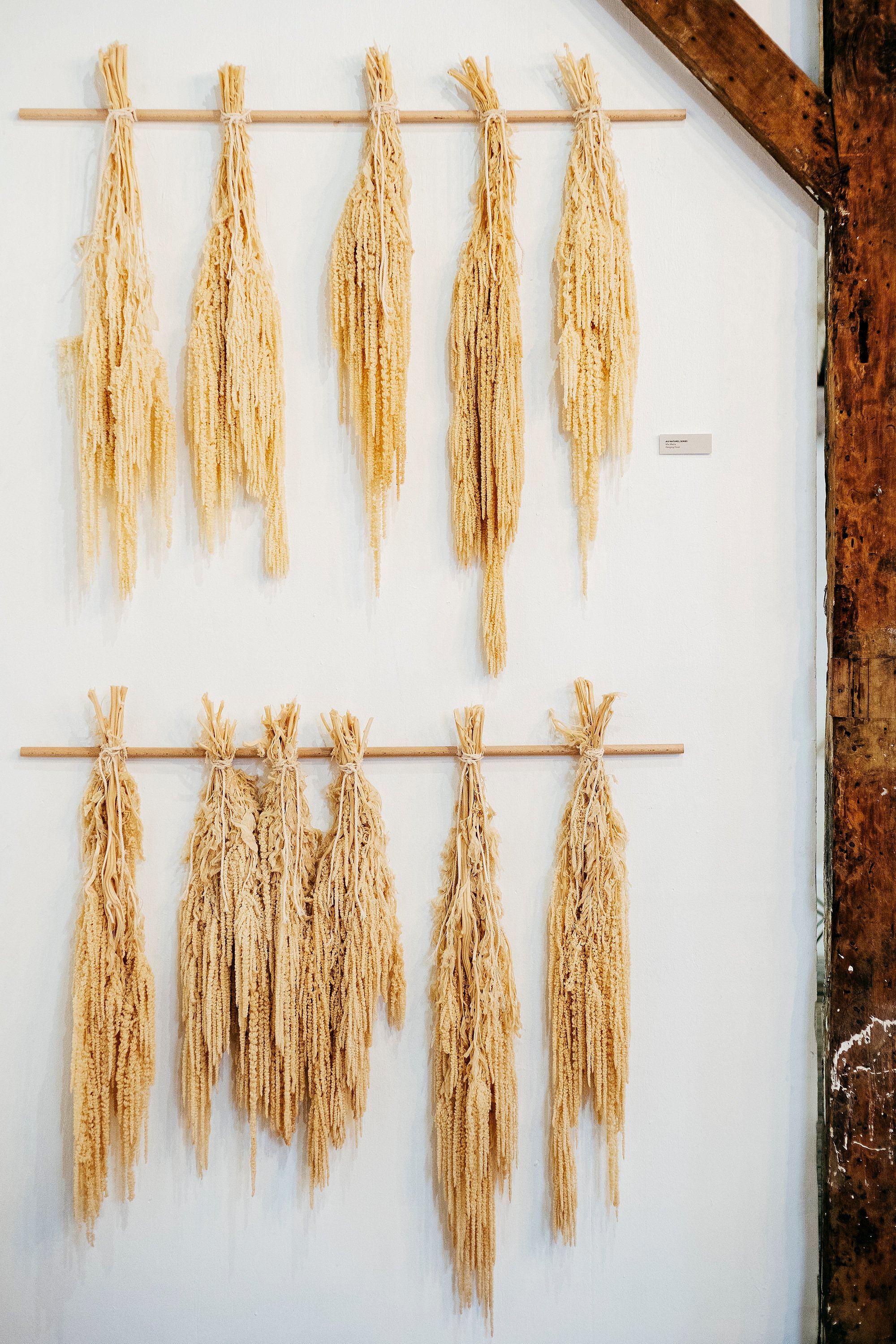 Title: "AU NATURELLE SERIES."