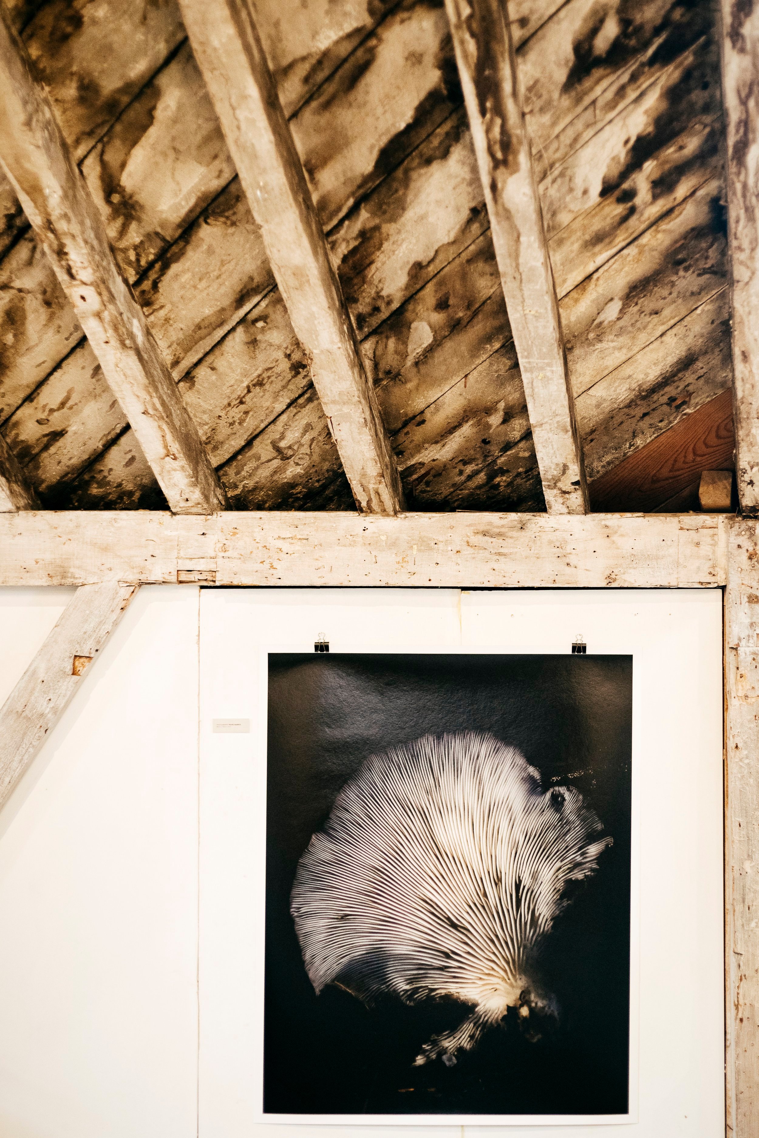 Medium: Photography.
Dimensions: 80cm x 100cm.