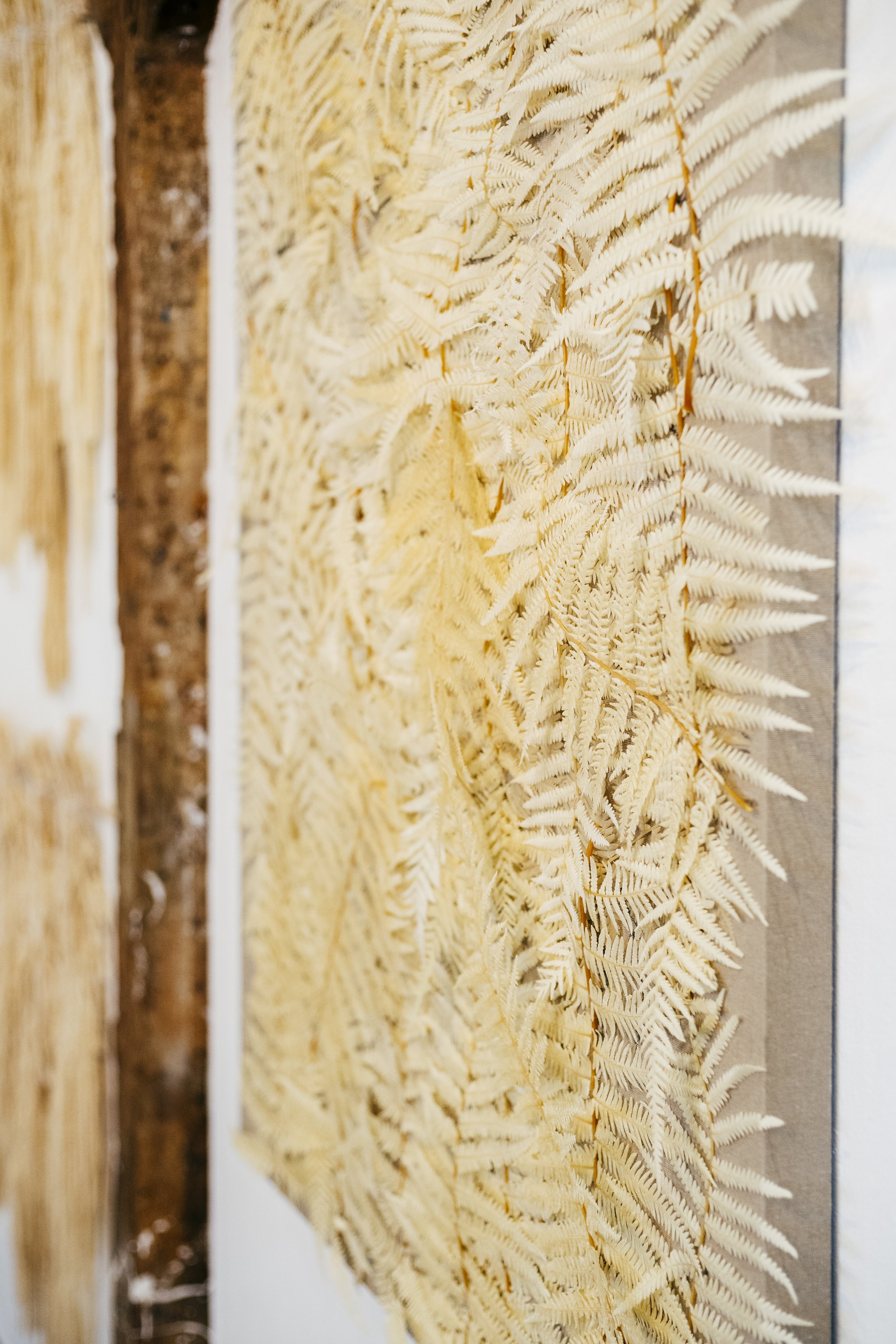 Title: "AU NATURELLE SERIES" _Detail
Medium: Mixed Media.
Description: Cream large fern, hand-sewn on raw canvas.
Dimensions: 100cm x 120cm x 4cm.