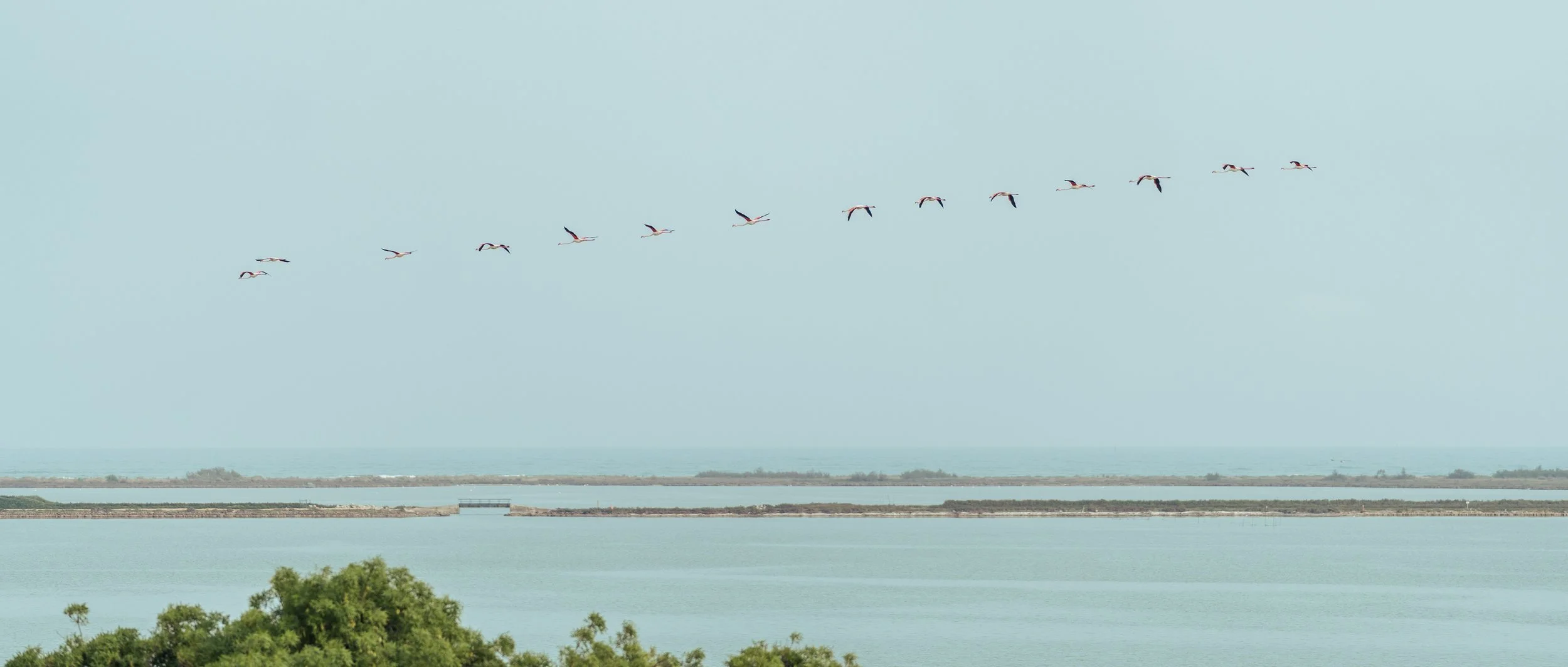 Gala des Internes 11-04-26 Web-2.jpg