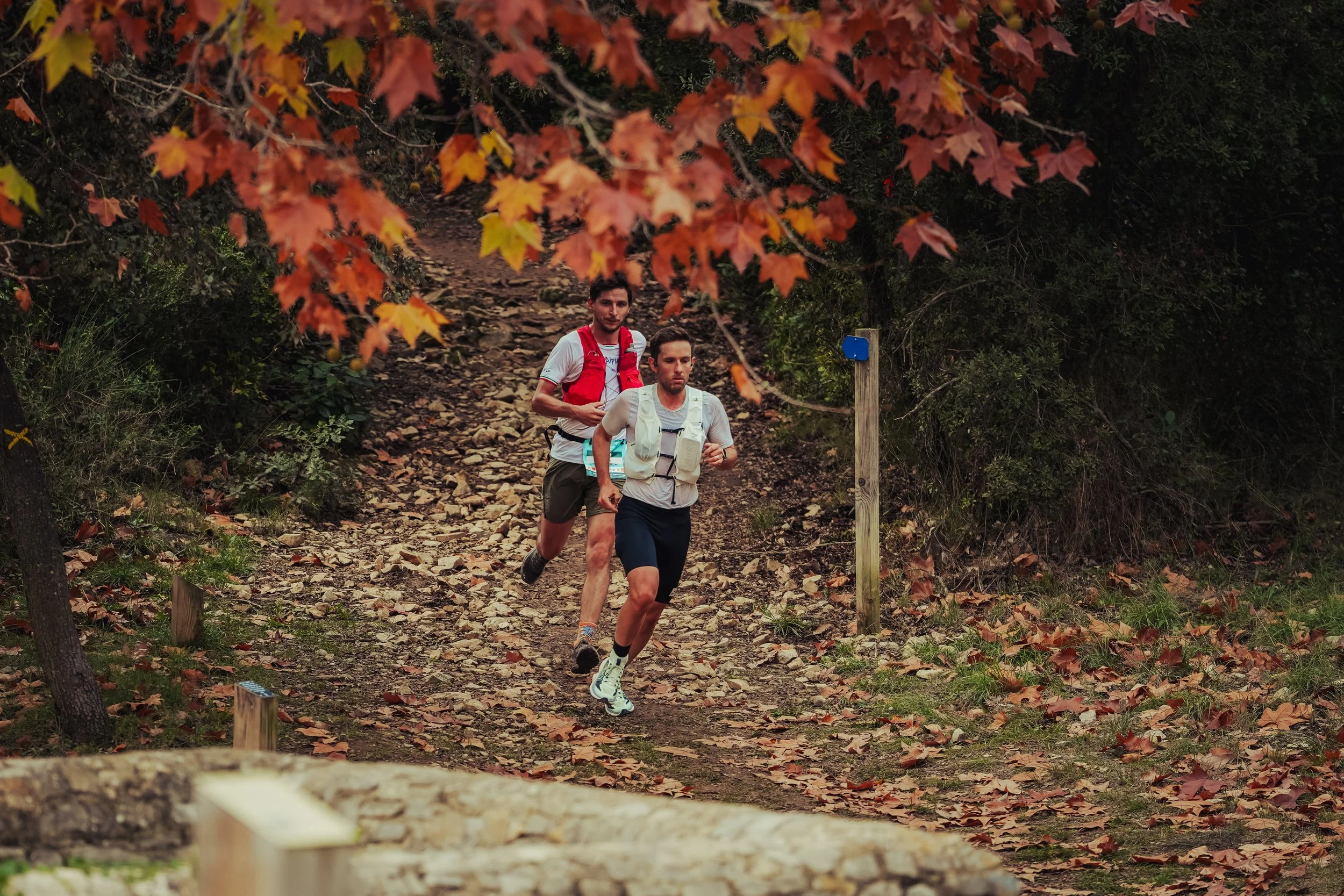 Veni Vici Photosport Web-5.jpg